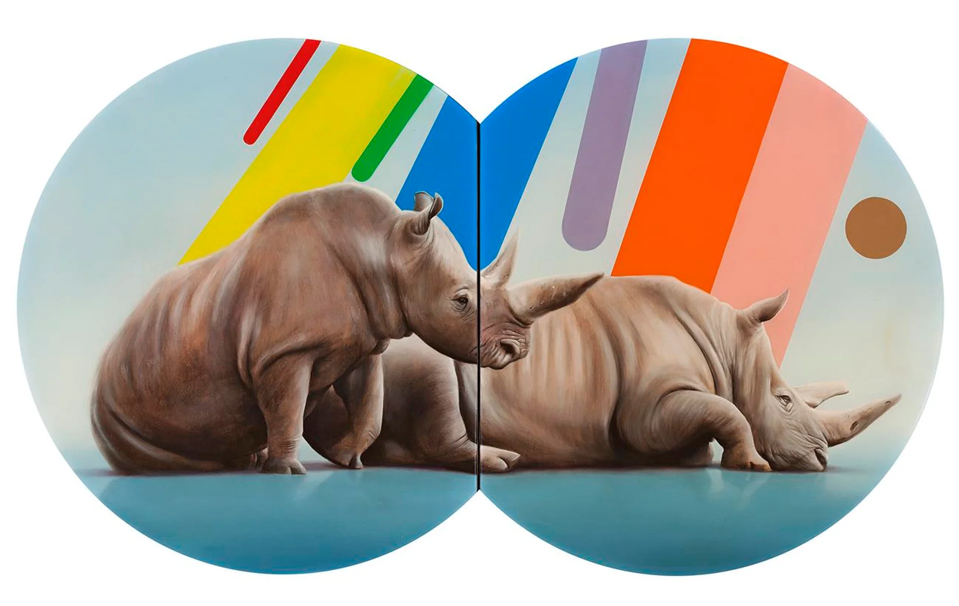RHINOS WITH EVOLUTION OF COLOUR TERMS
