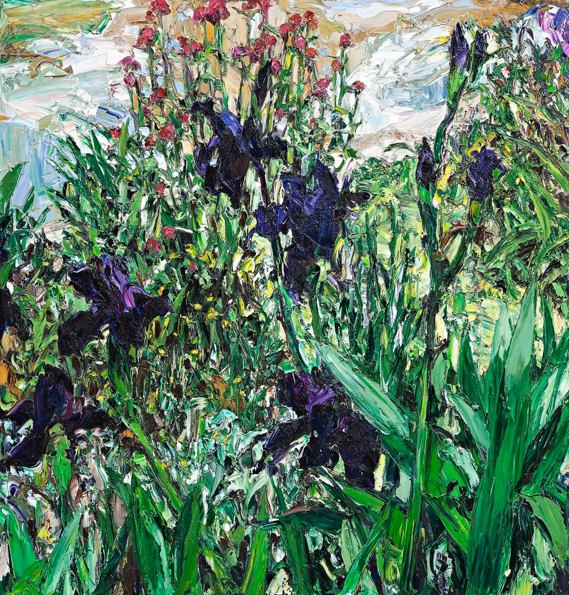 PARIS POND IRISES (1)