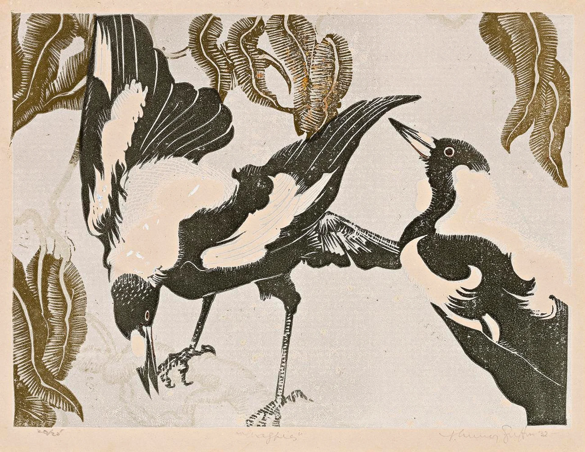 MAGPIES (1)