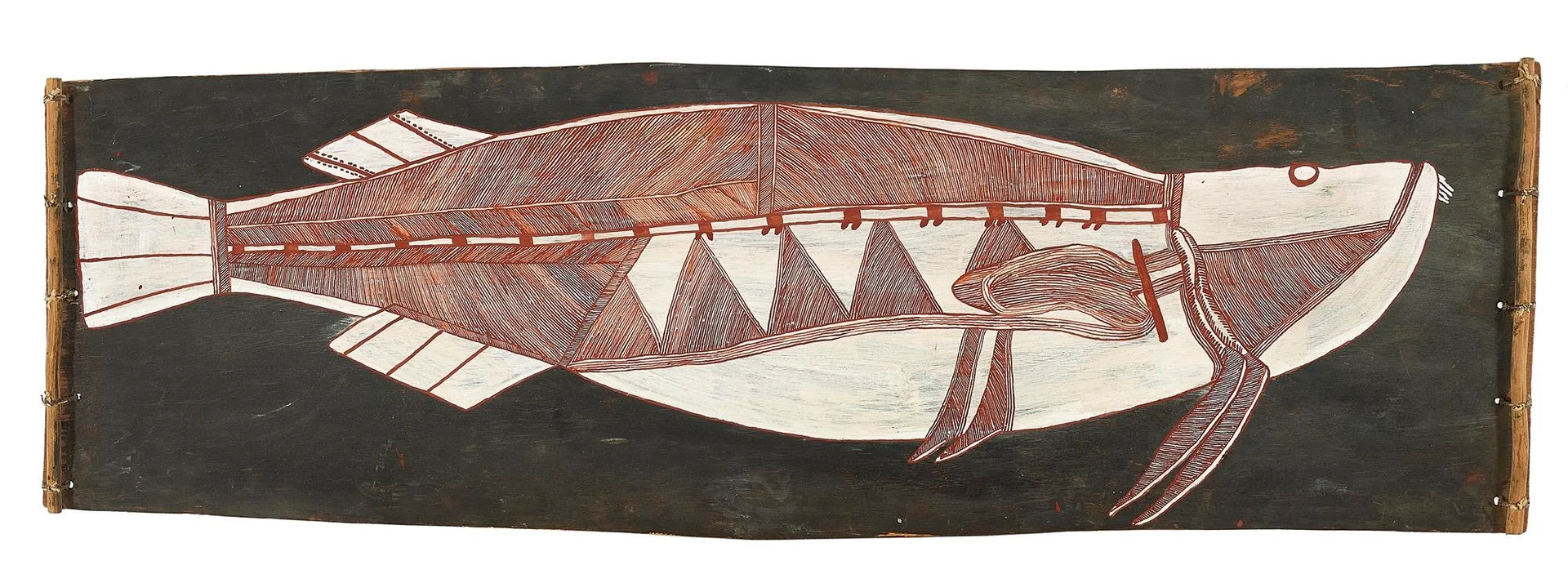 BARRAMUNDI