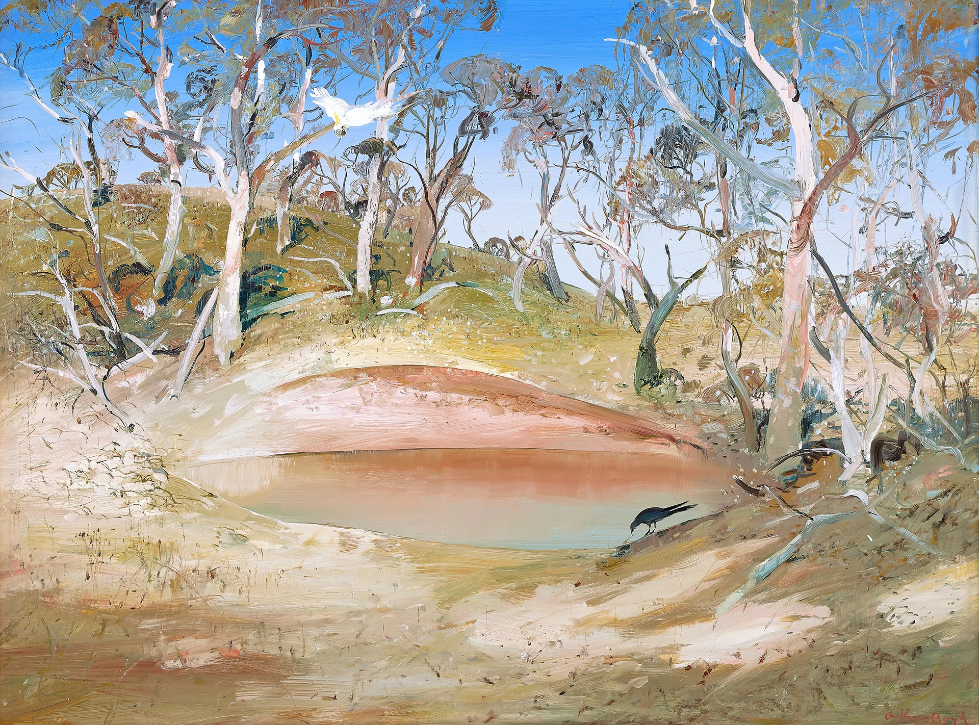 WATERHOLE NEAR CANBERRA