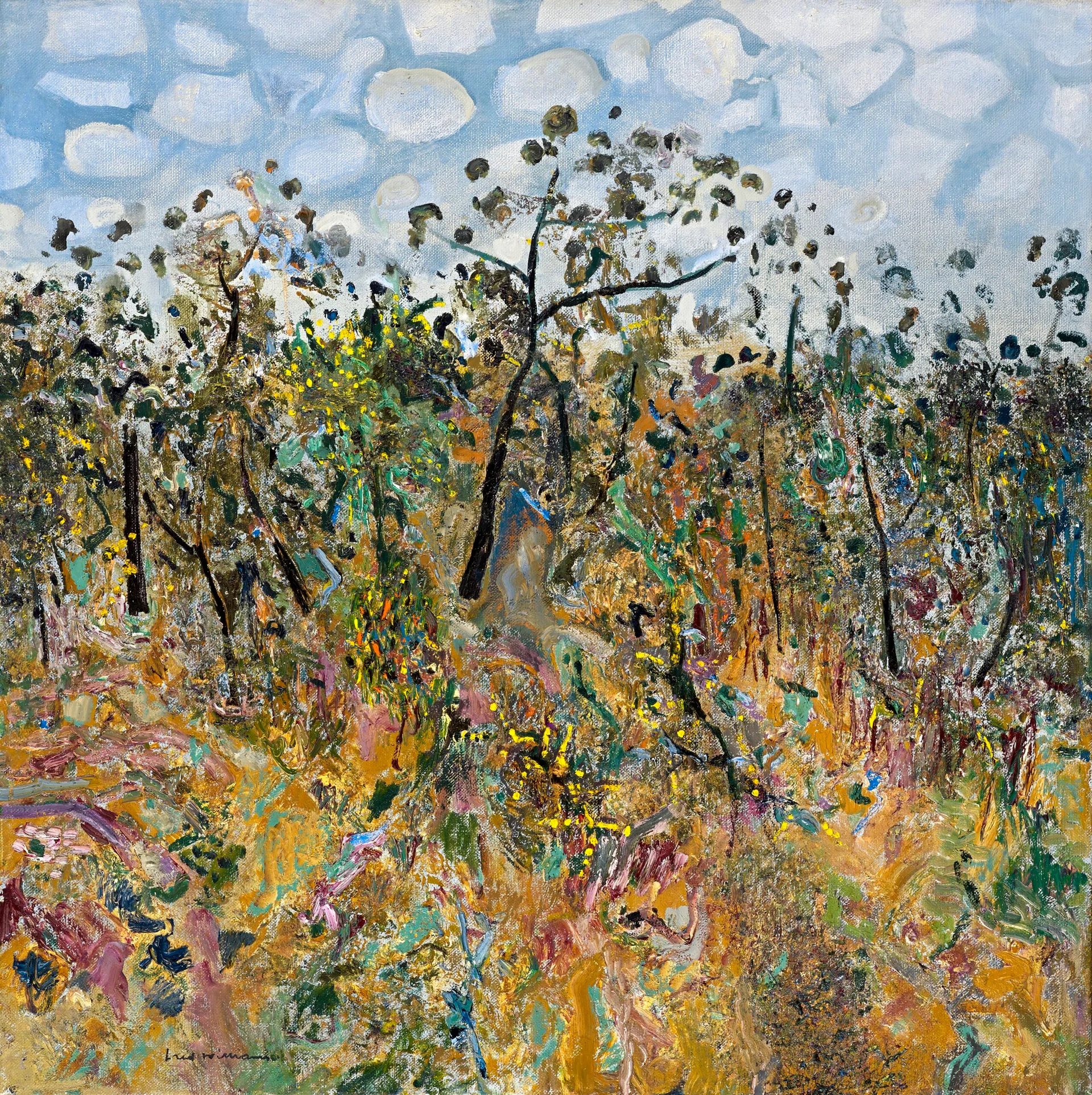 ACACIA LANDSCAPE WITH CLOUDS