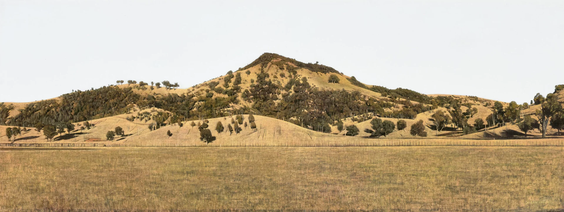 HILLSIDE, ELLERSTON