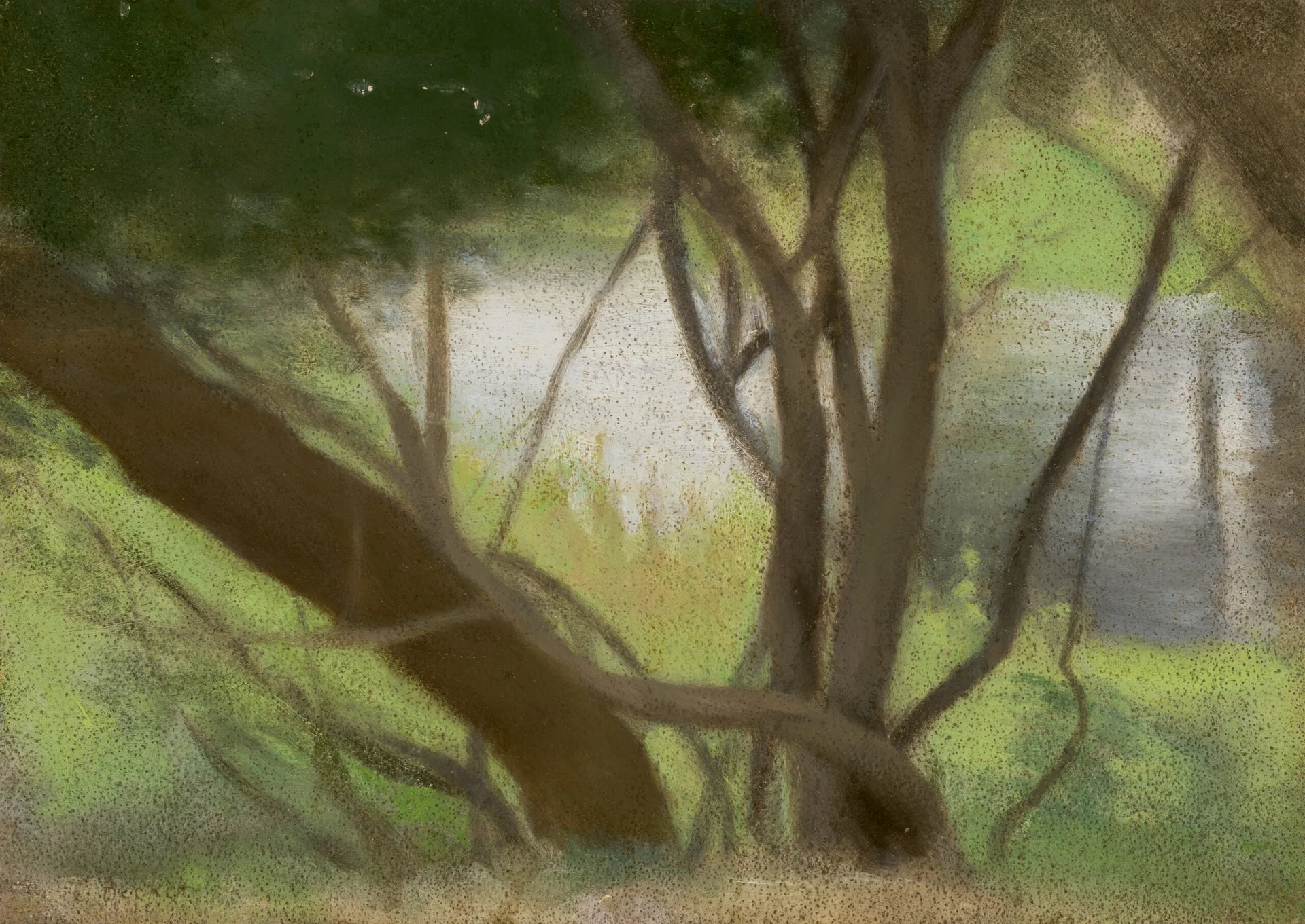 TREES BESIDE THE YARRA RIVER