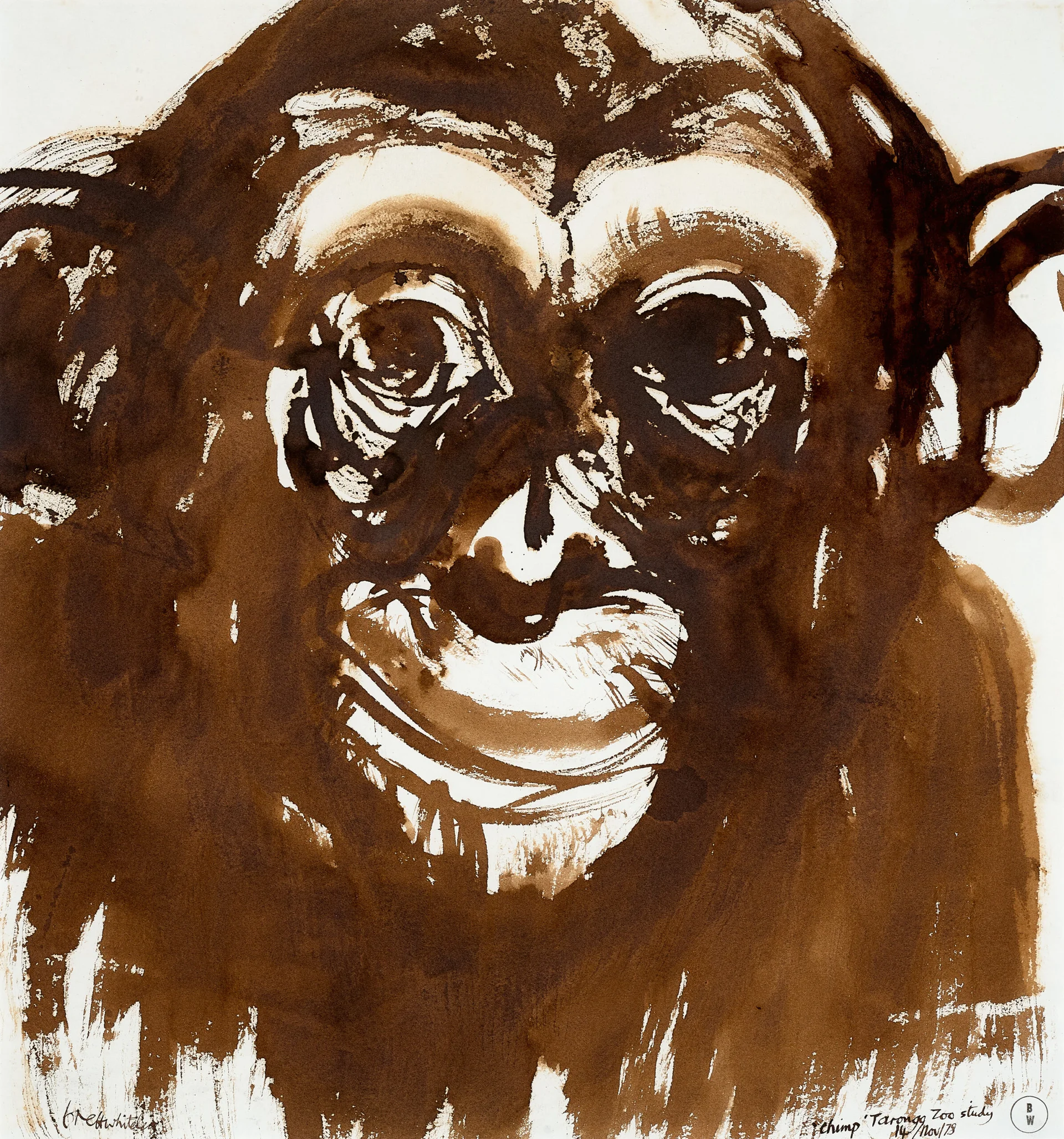 CHIMP TARONGA ZOO STUDY, VERSO: UNTITLED (FIG TREE)
