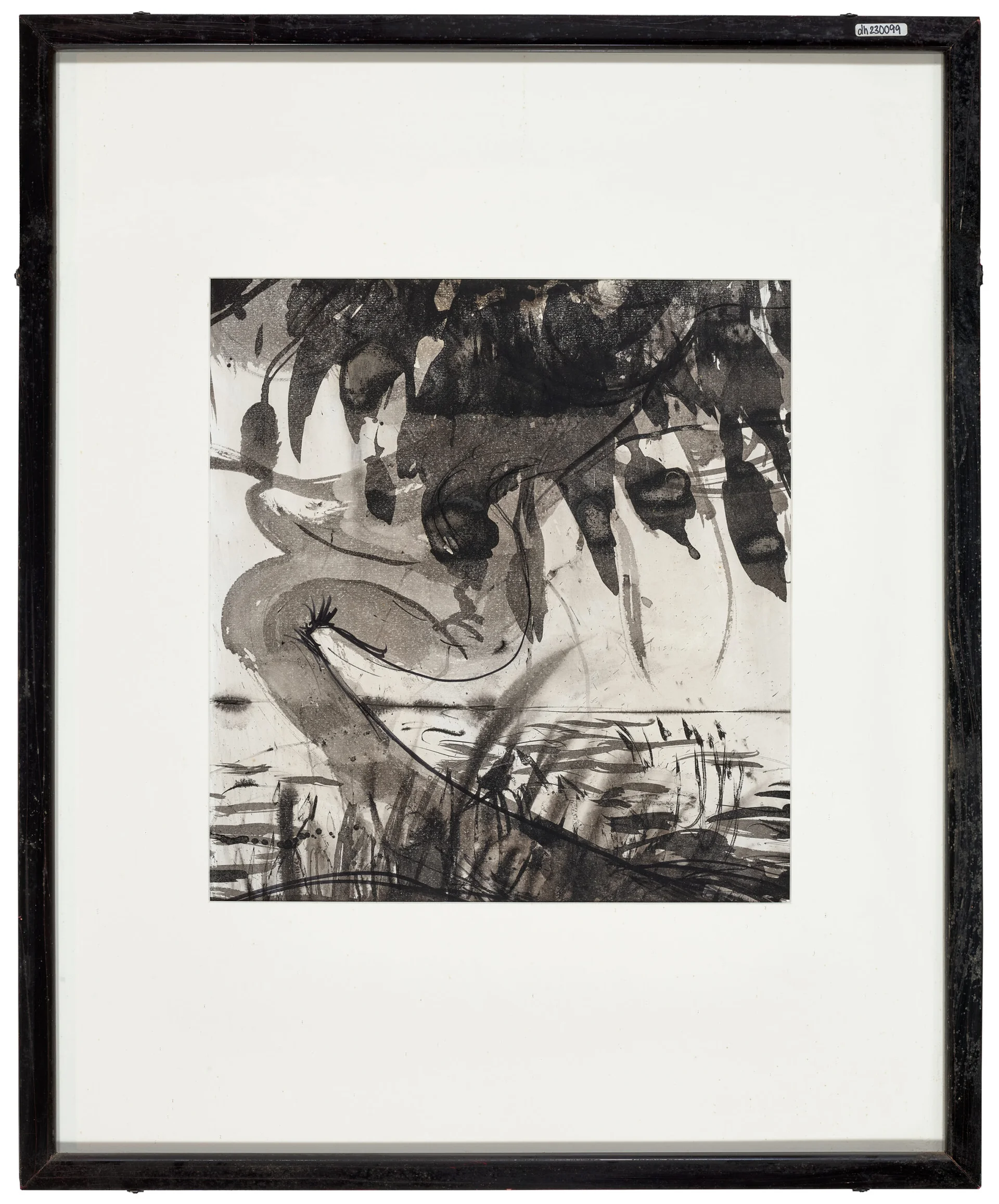 CHIMP TARONGA ZOO STUDY, VERSO: UNTITLED (FIG TREE)