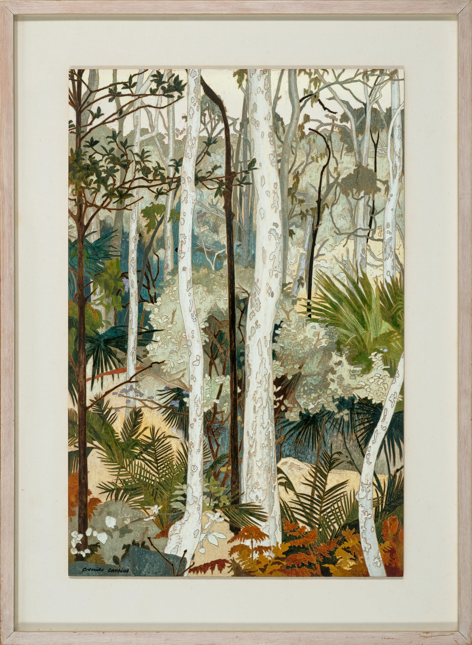 SPOTTED GUMS