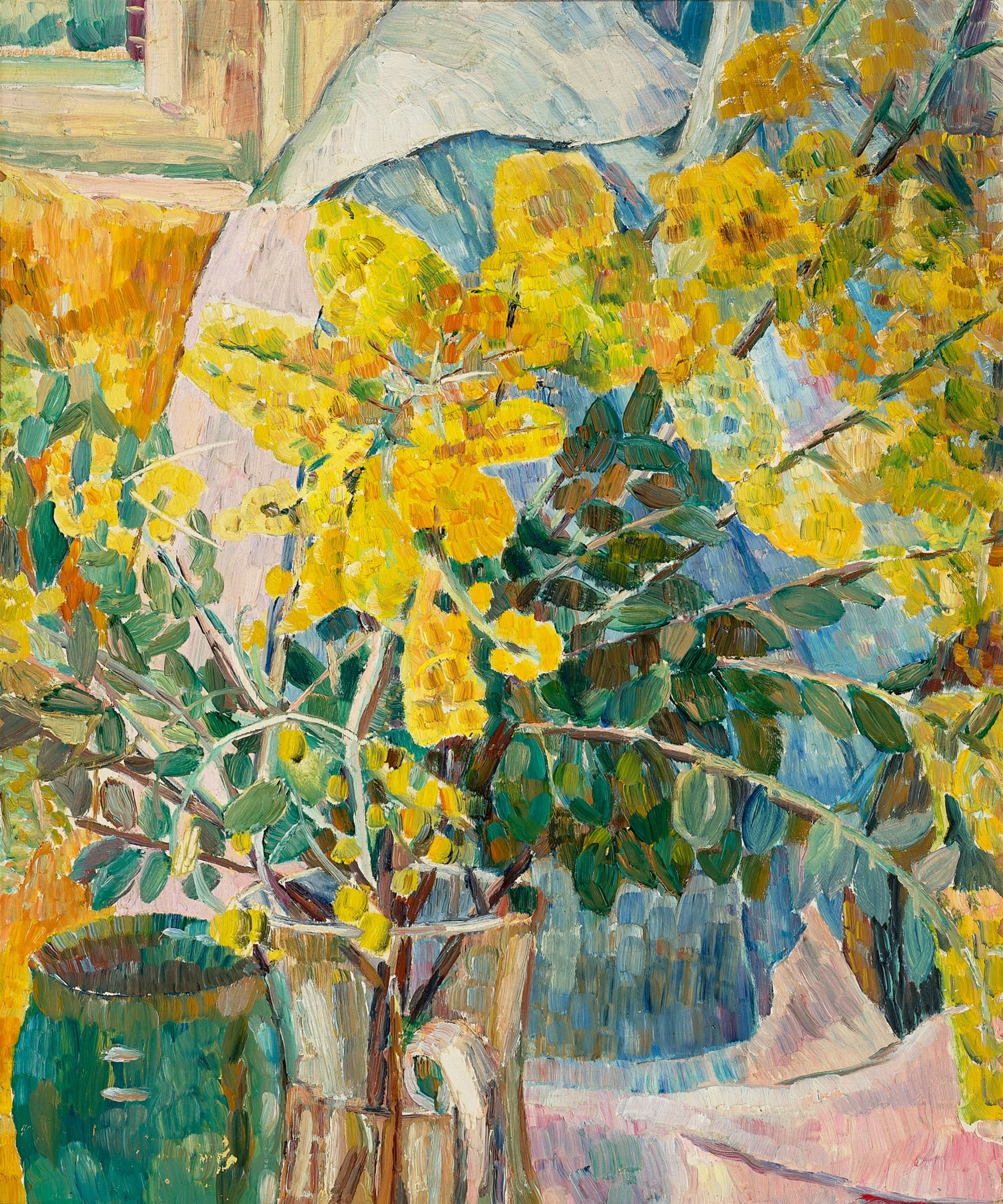 Golden wattle
