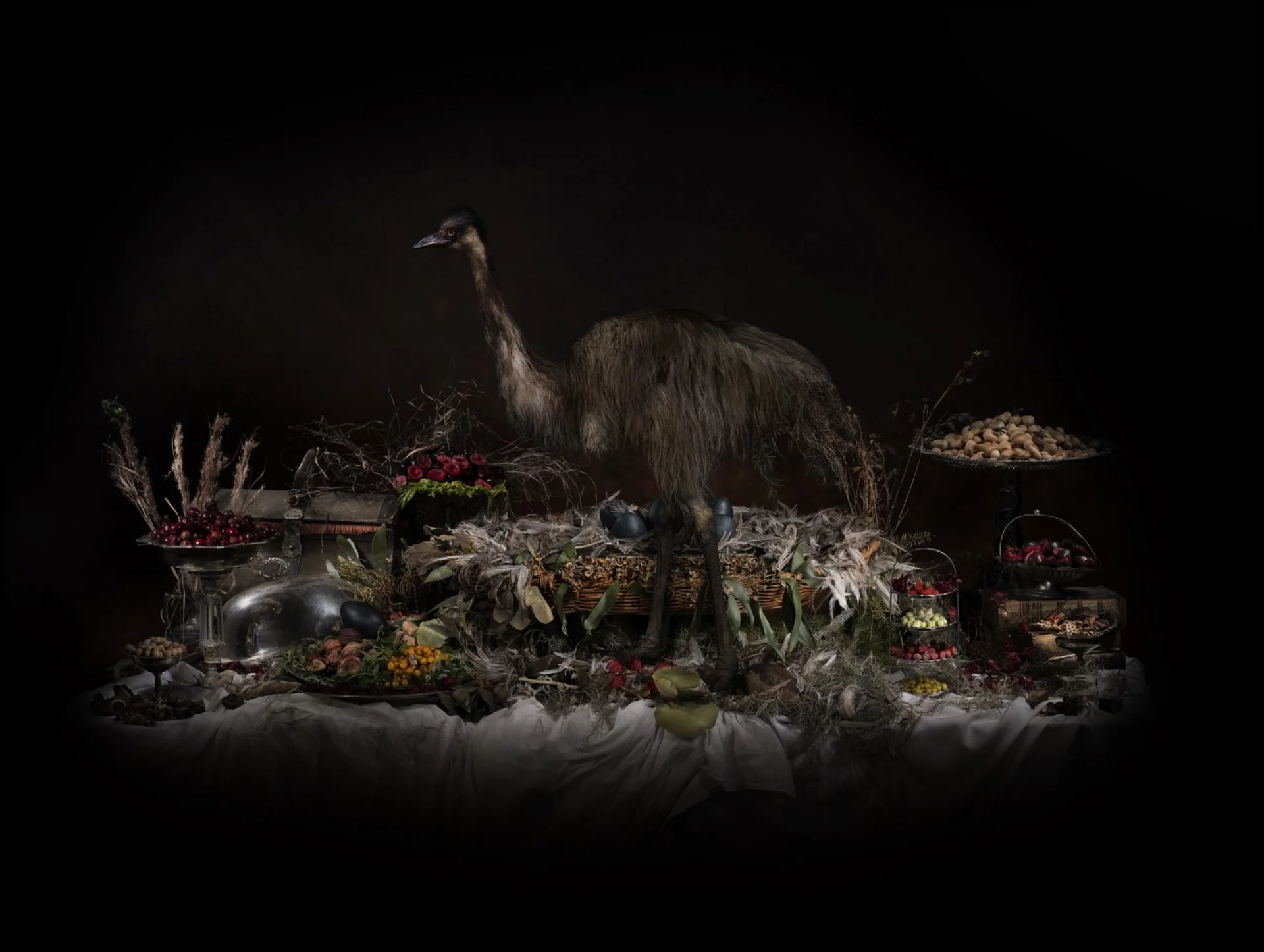 NATURES MORTES