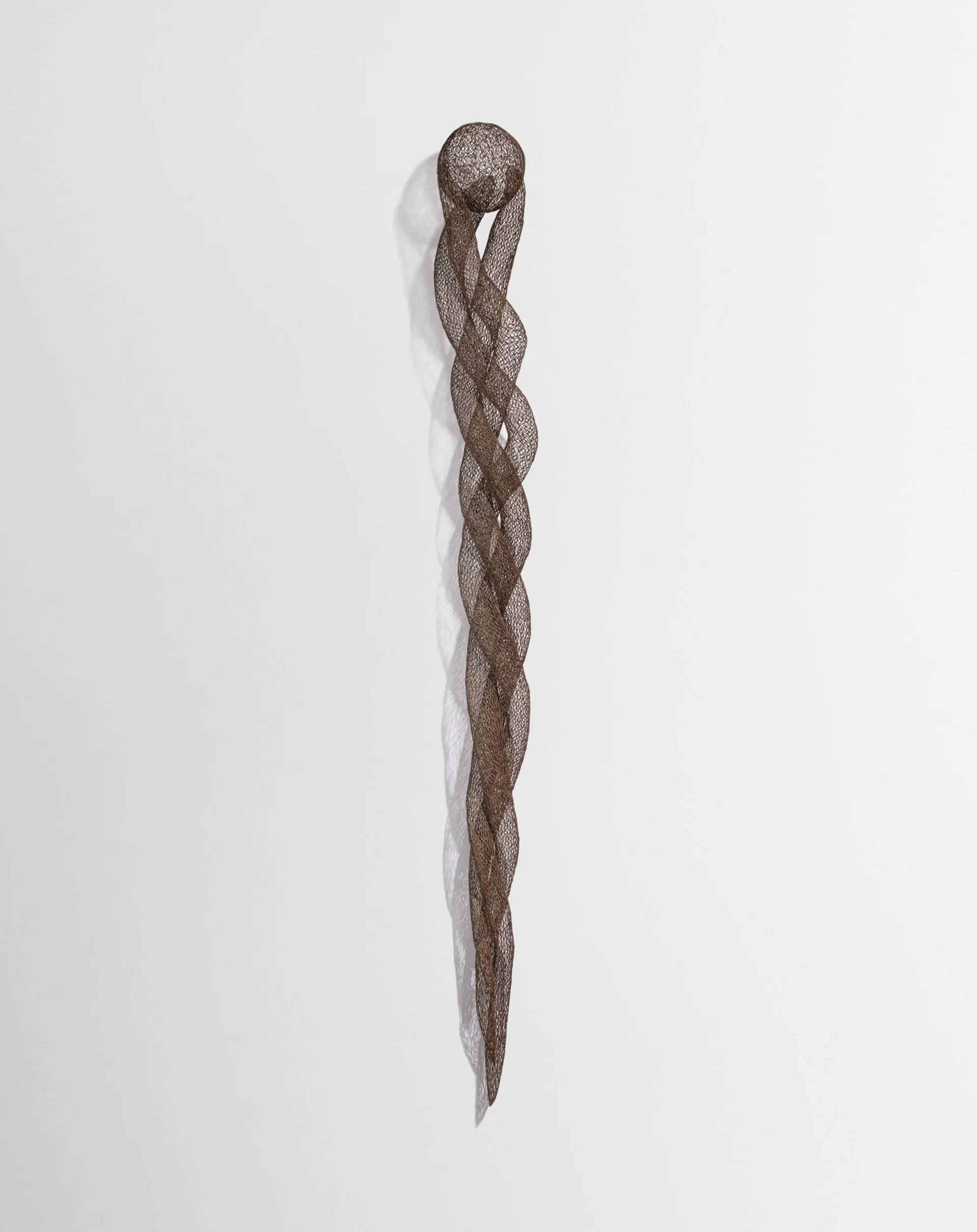 CLASP