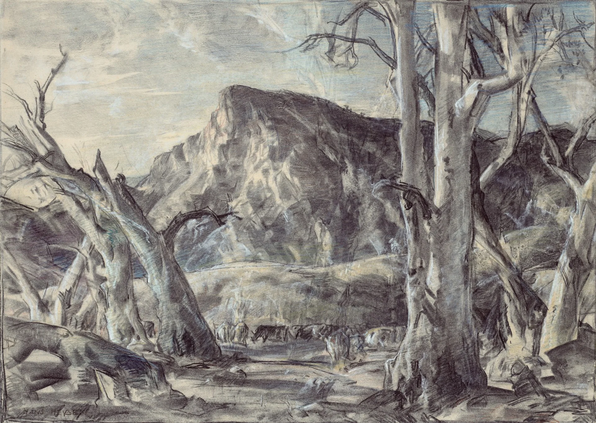 CATTLE IN CREEK BED