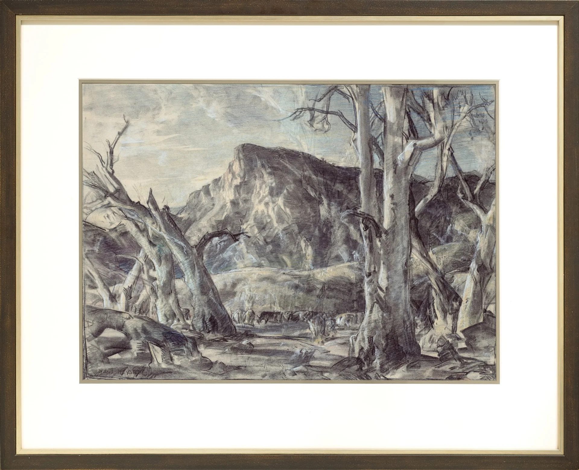 CATTLE IN CREEK BED