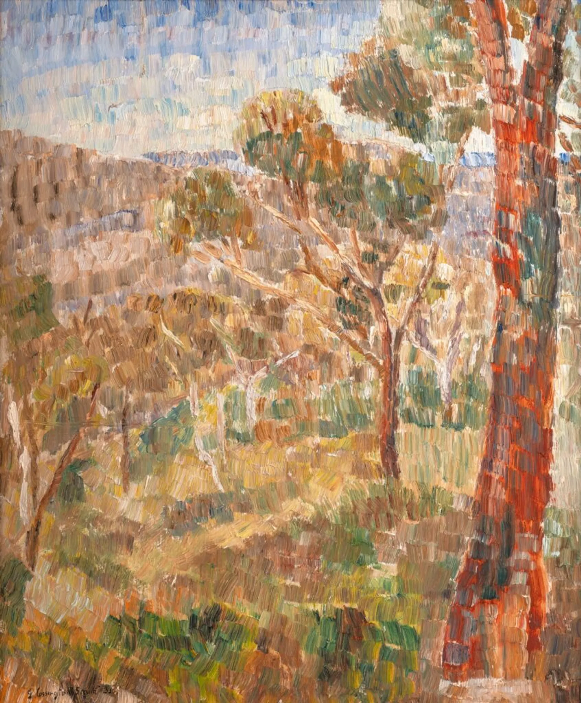 Bush scene