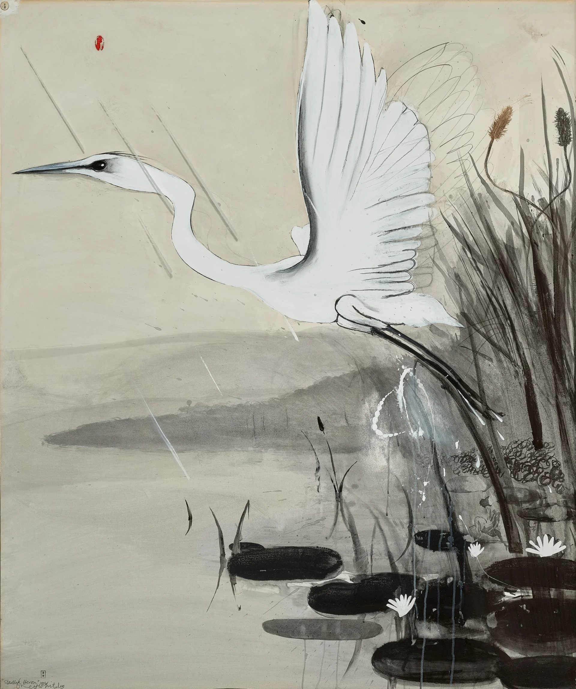 Startled heron