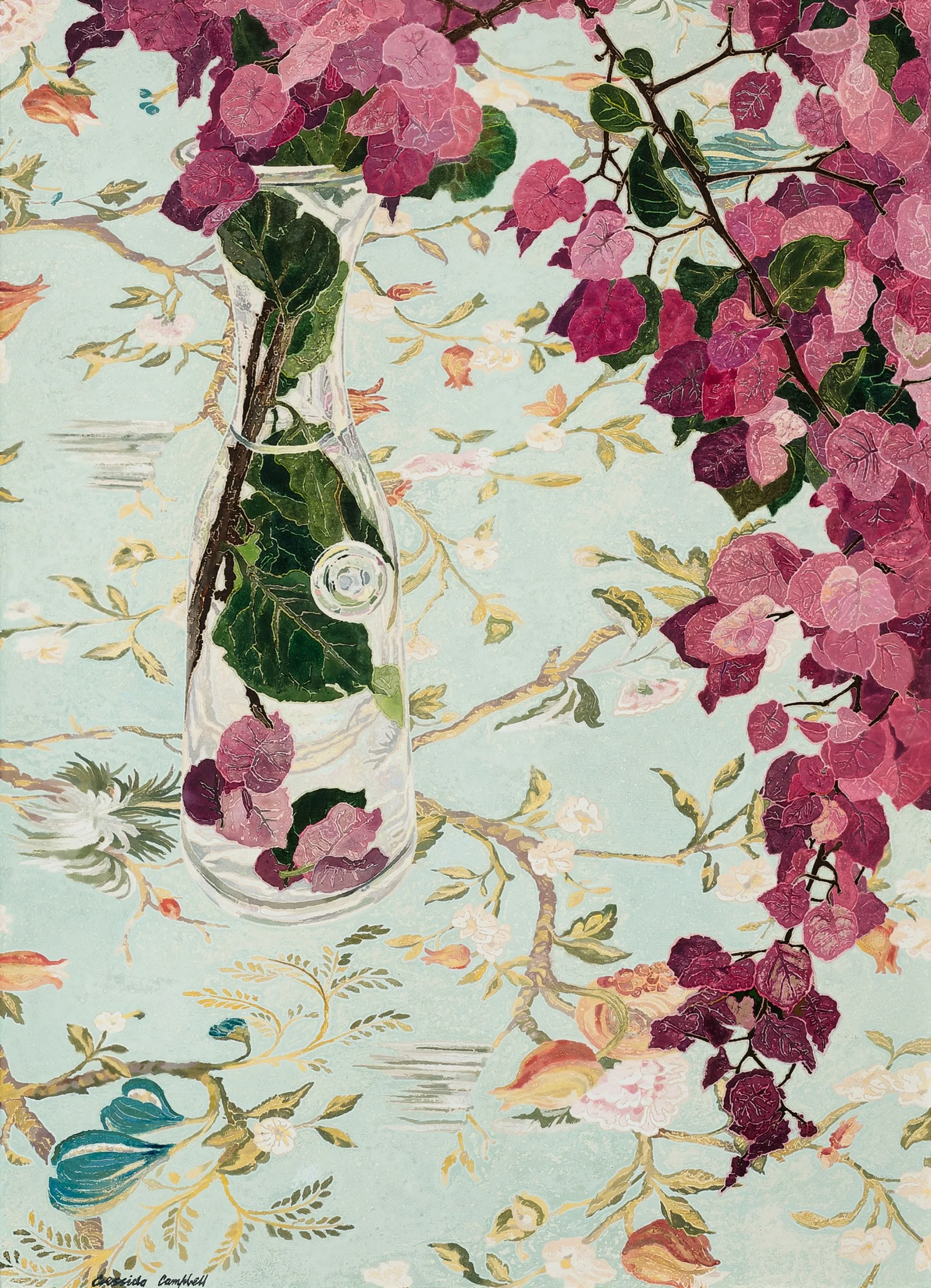 Bougainvillea