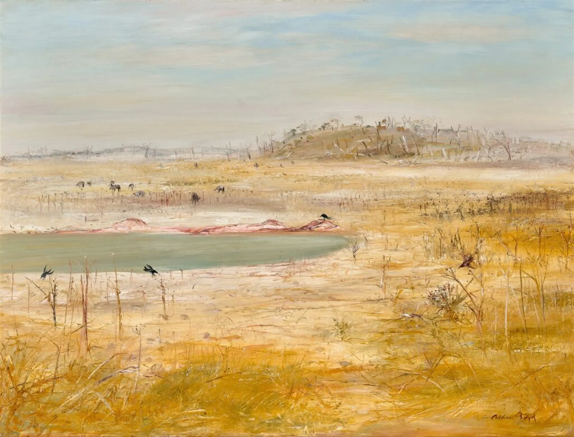 Wimmera landscape