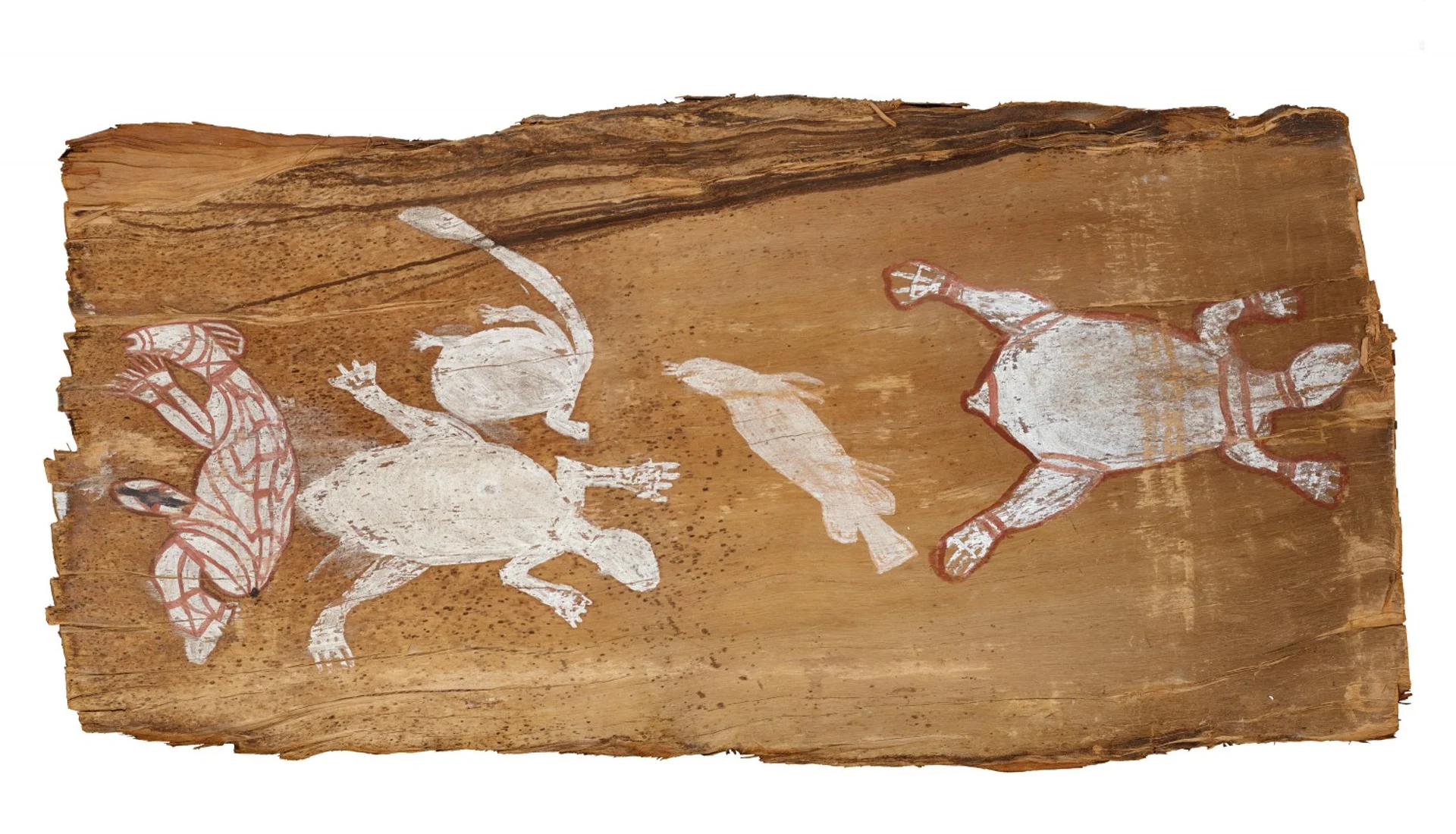 UNTITLED (SPIRIT BEING, LONG NECKED TURTLE AND BARRAMUNDI)