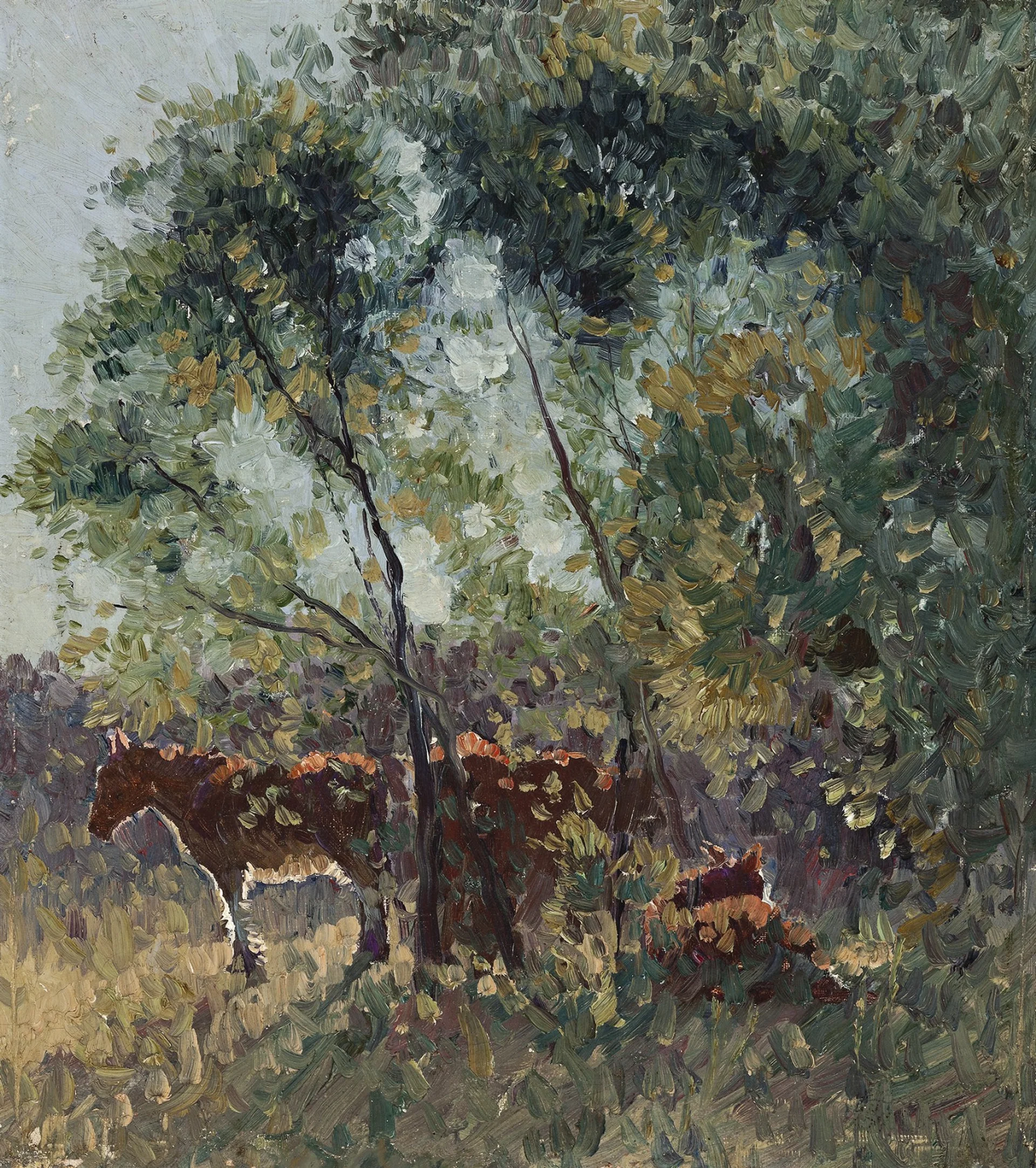 SPRING MORNING
