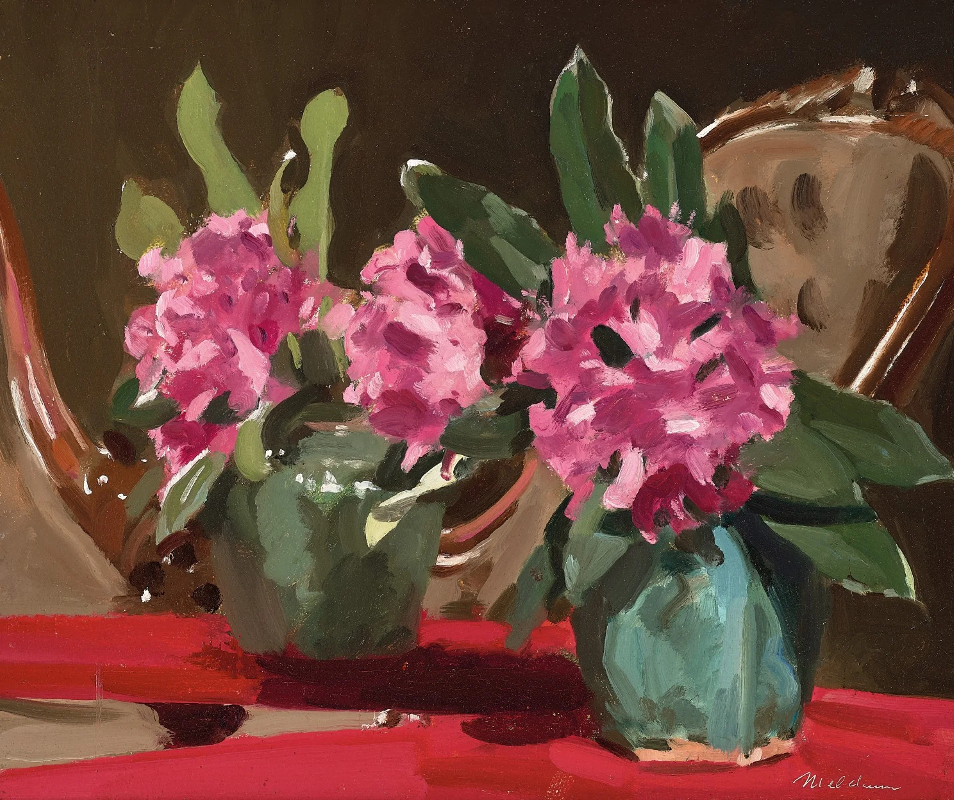 REFLECTIONS – RHODODENDRONS