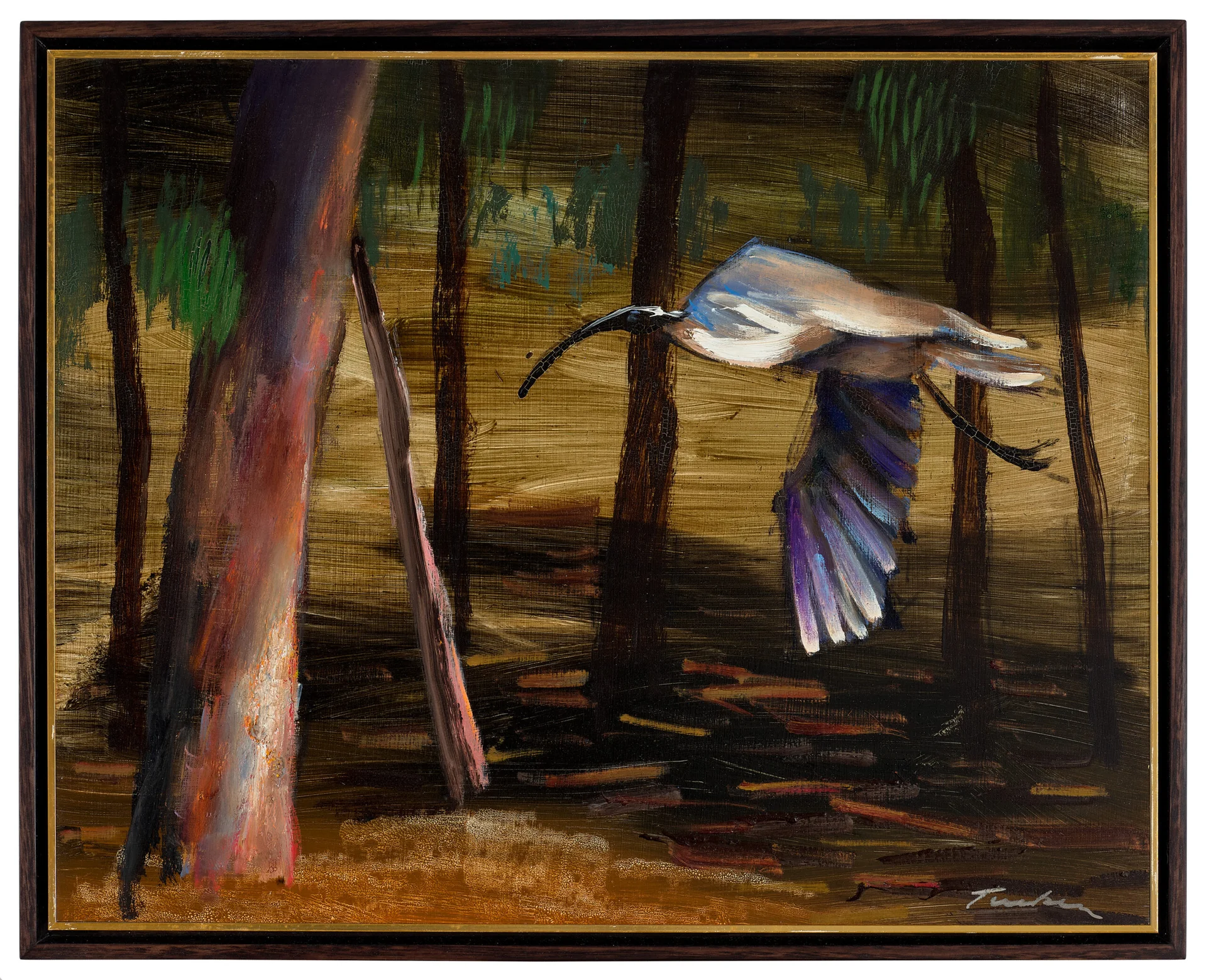 IBIS IN FLIGHT