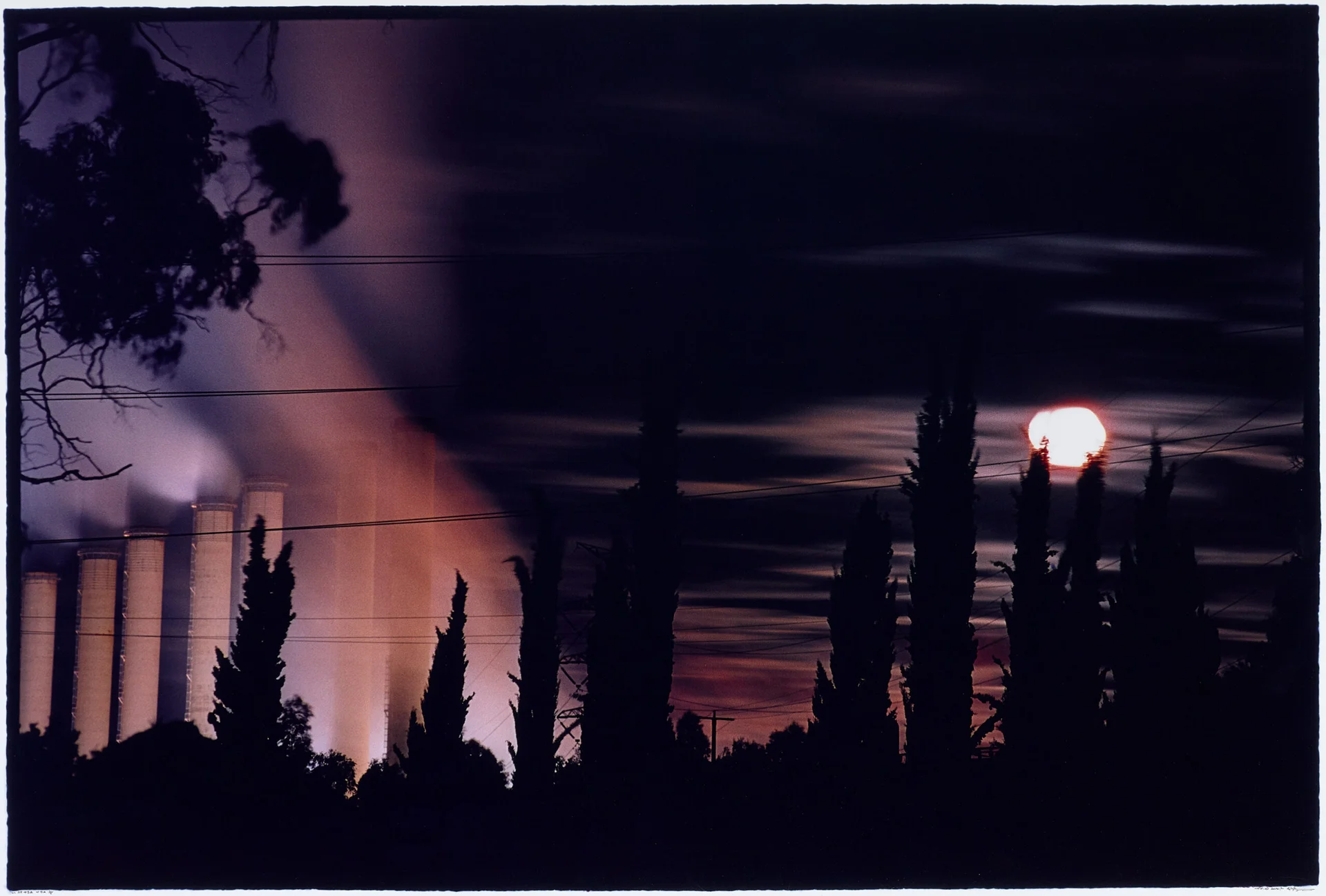 UNTITLED #83