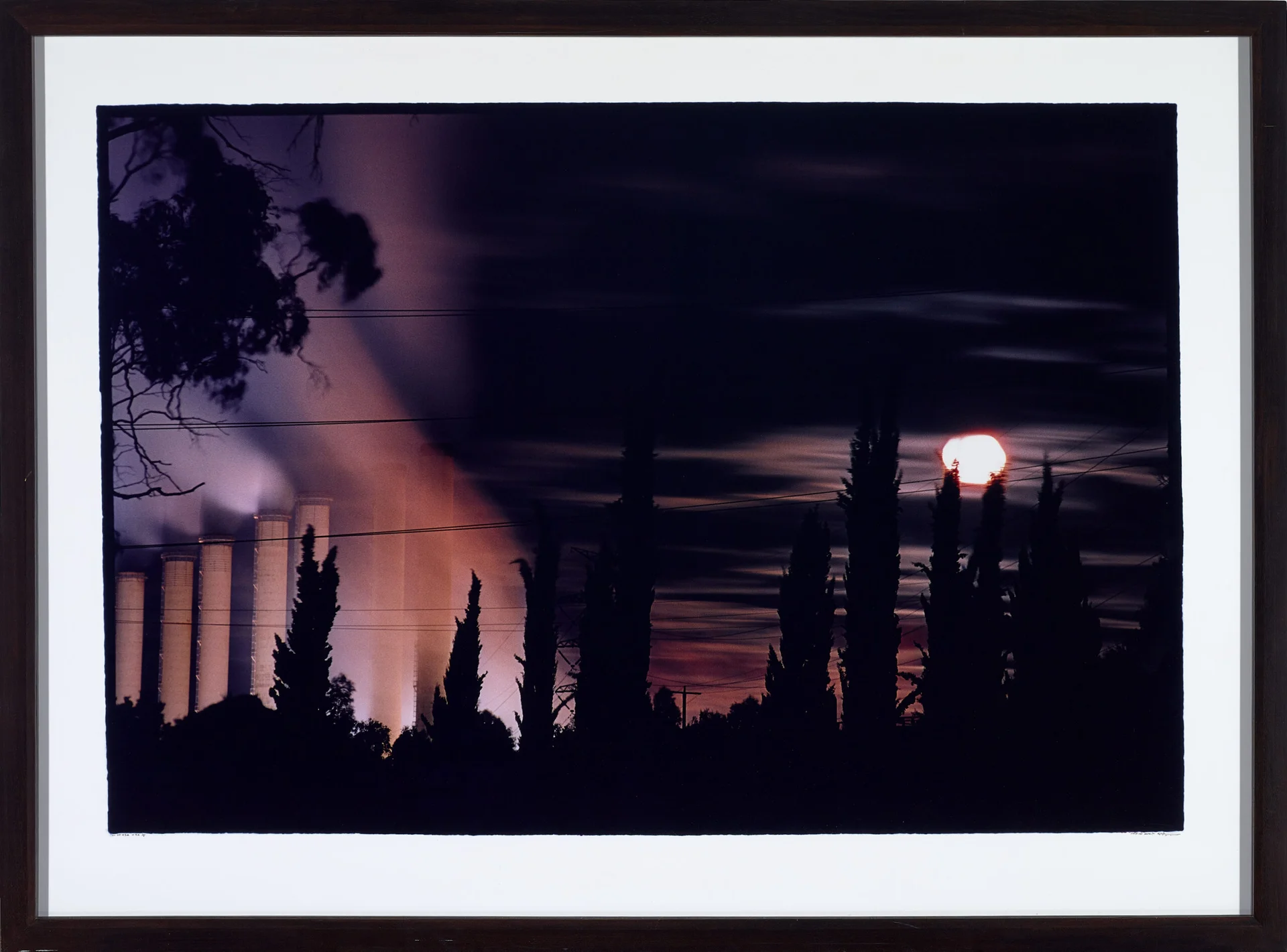 UNTITLED #83