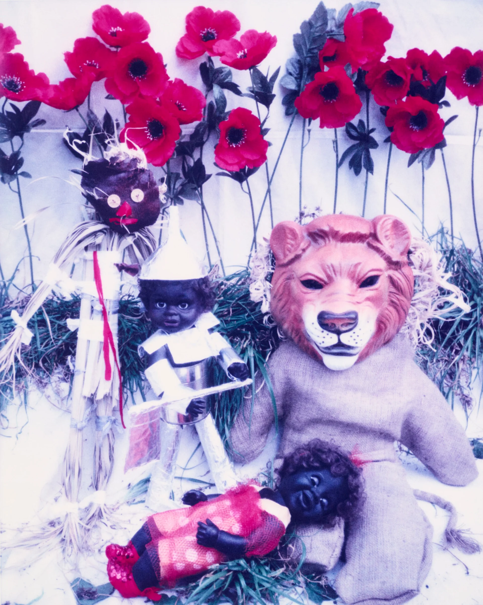 OZ GAMES – UNDER THE SPELL OF THE TALL POPPIES