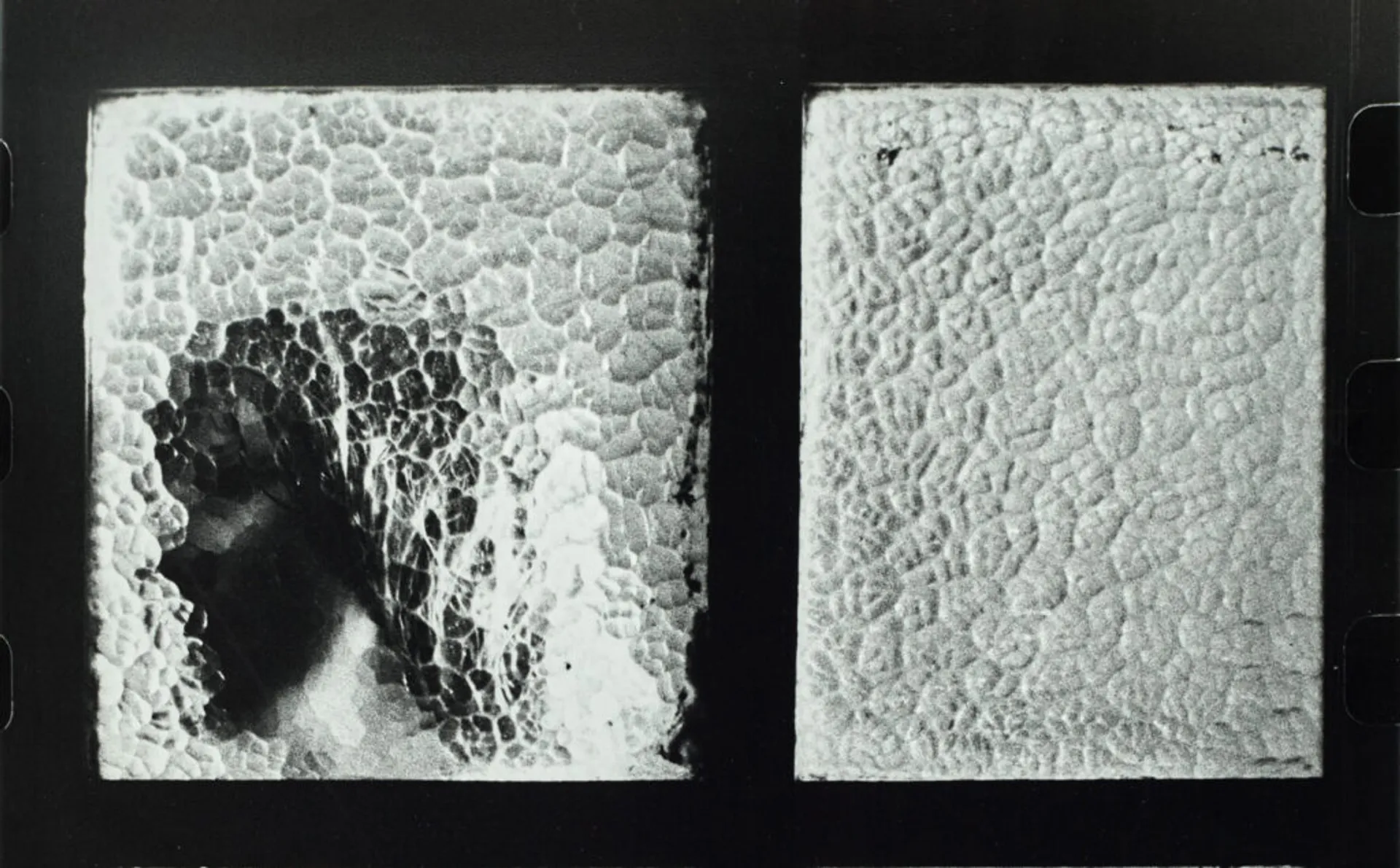 The Joyce Evans Collection of Australian Photography
