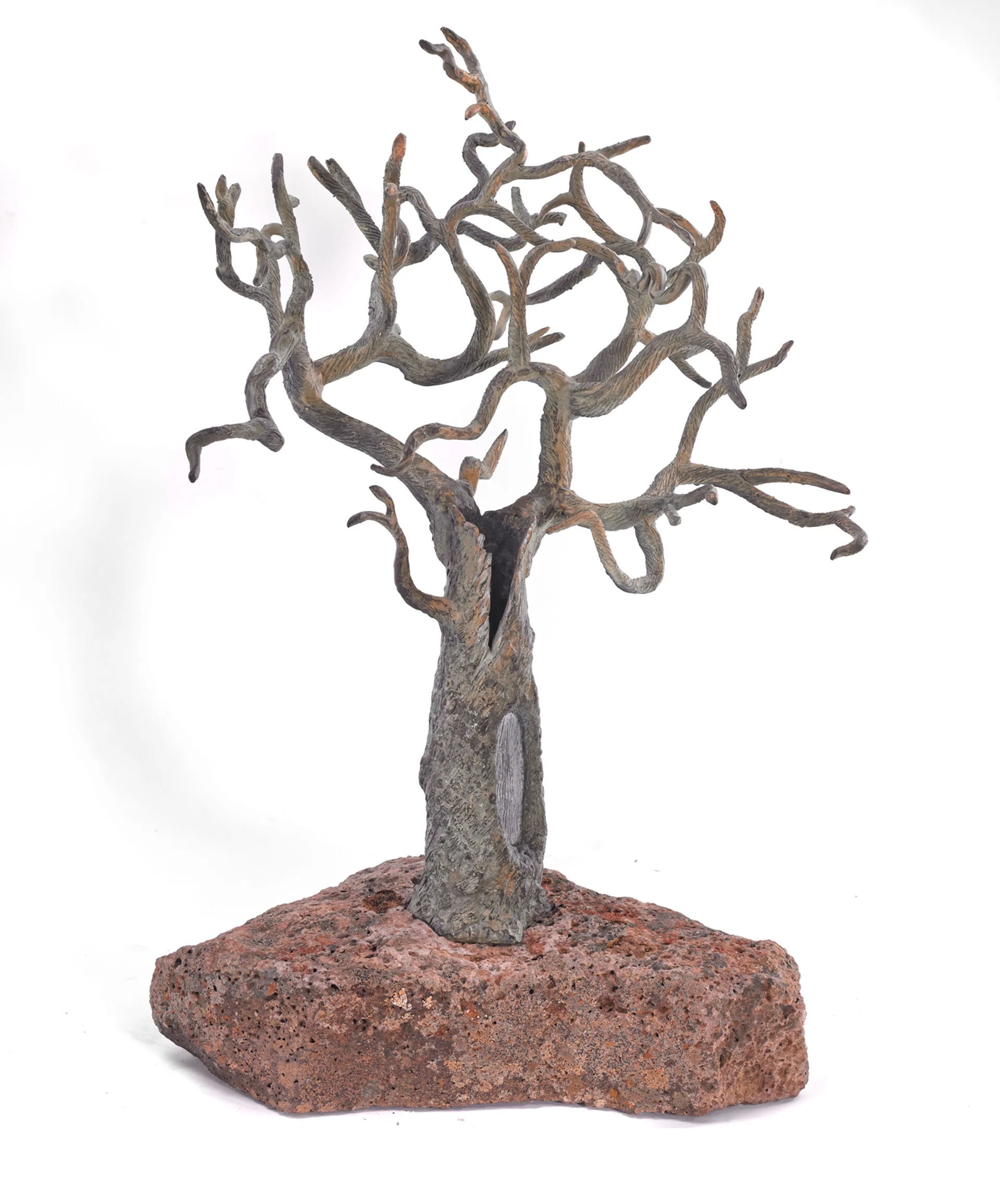 BARREN TREE