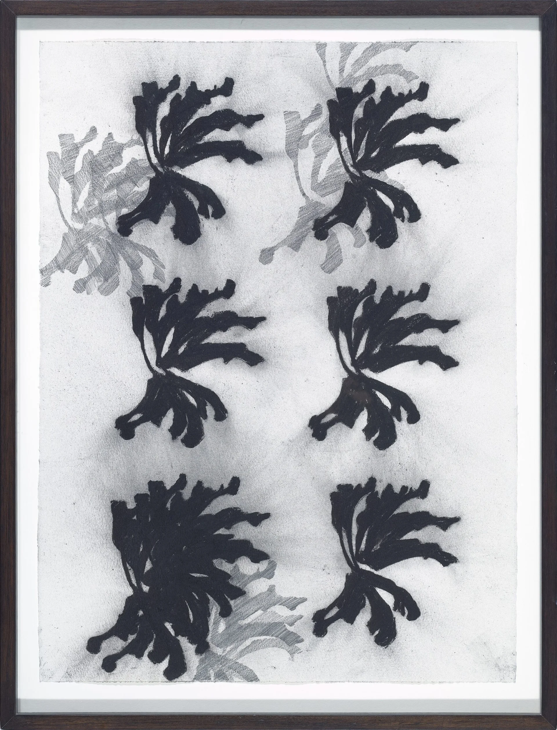 UNTITLED