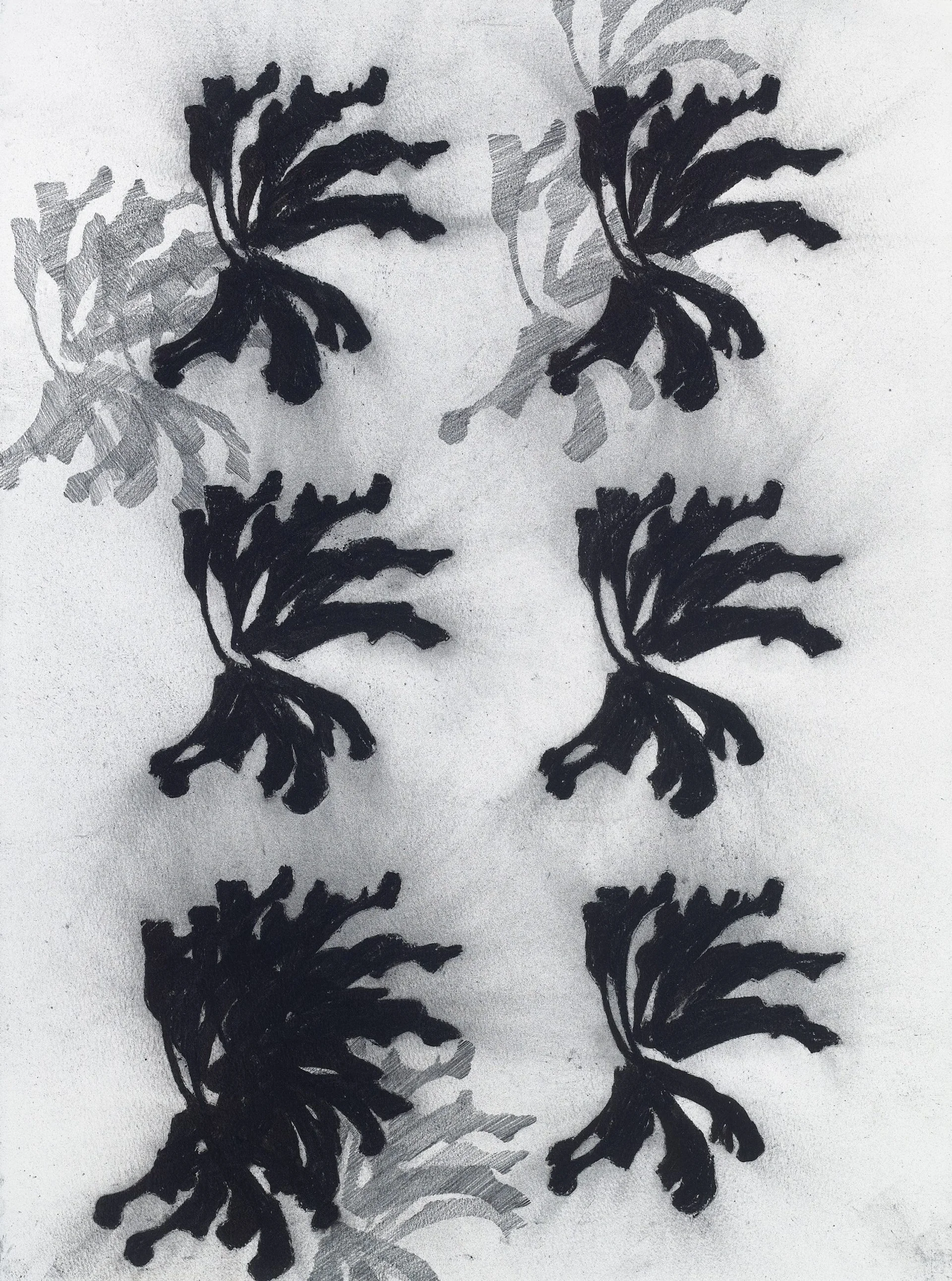 UNTITLED