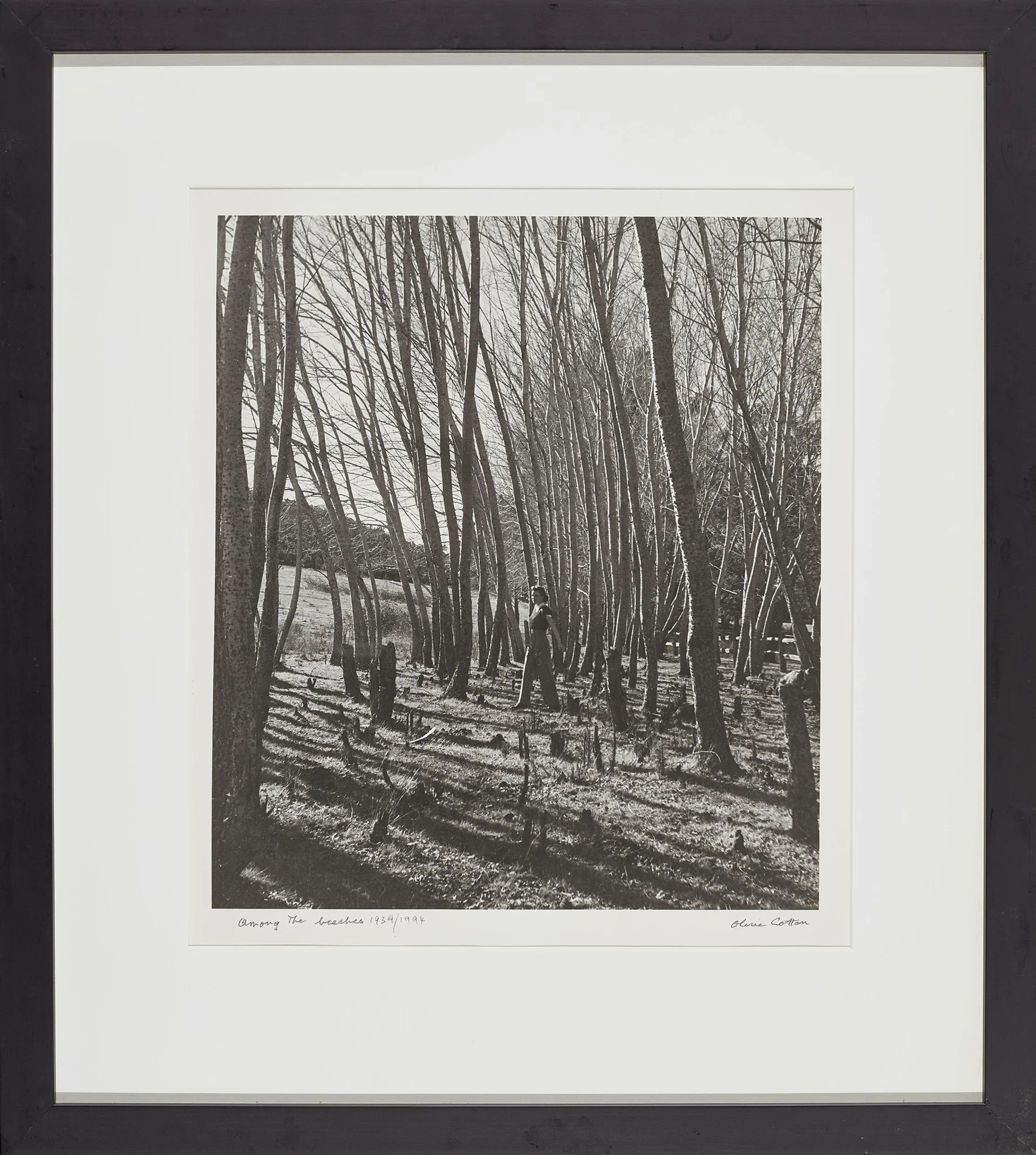 AMONG THE BEECHES