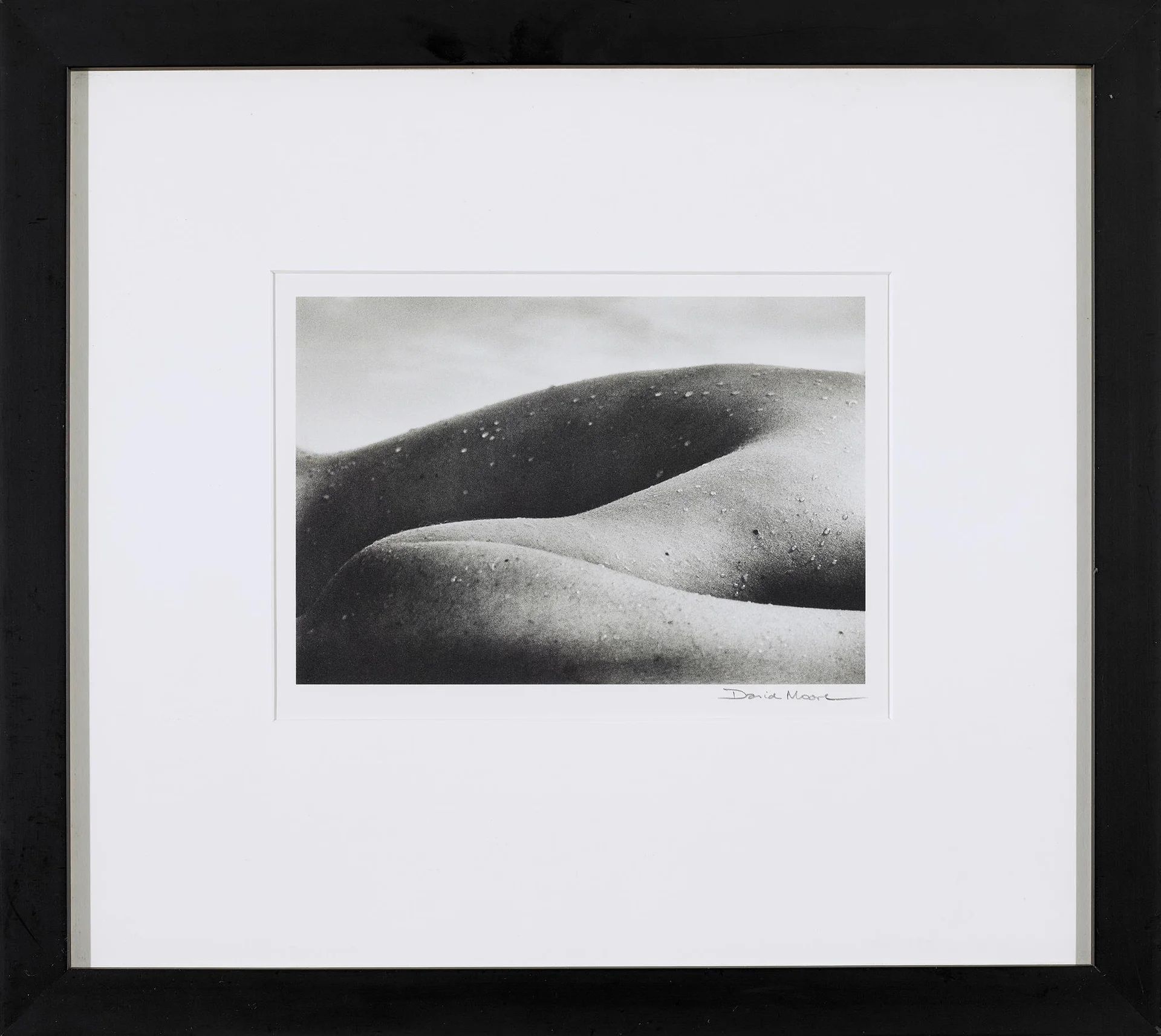 LANDSCAPE NUDE 1