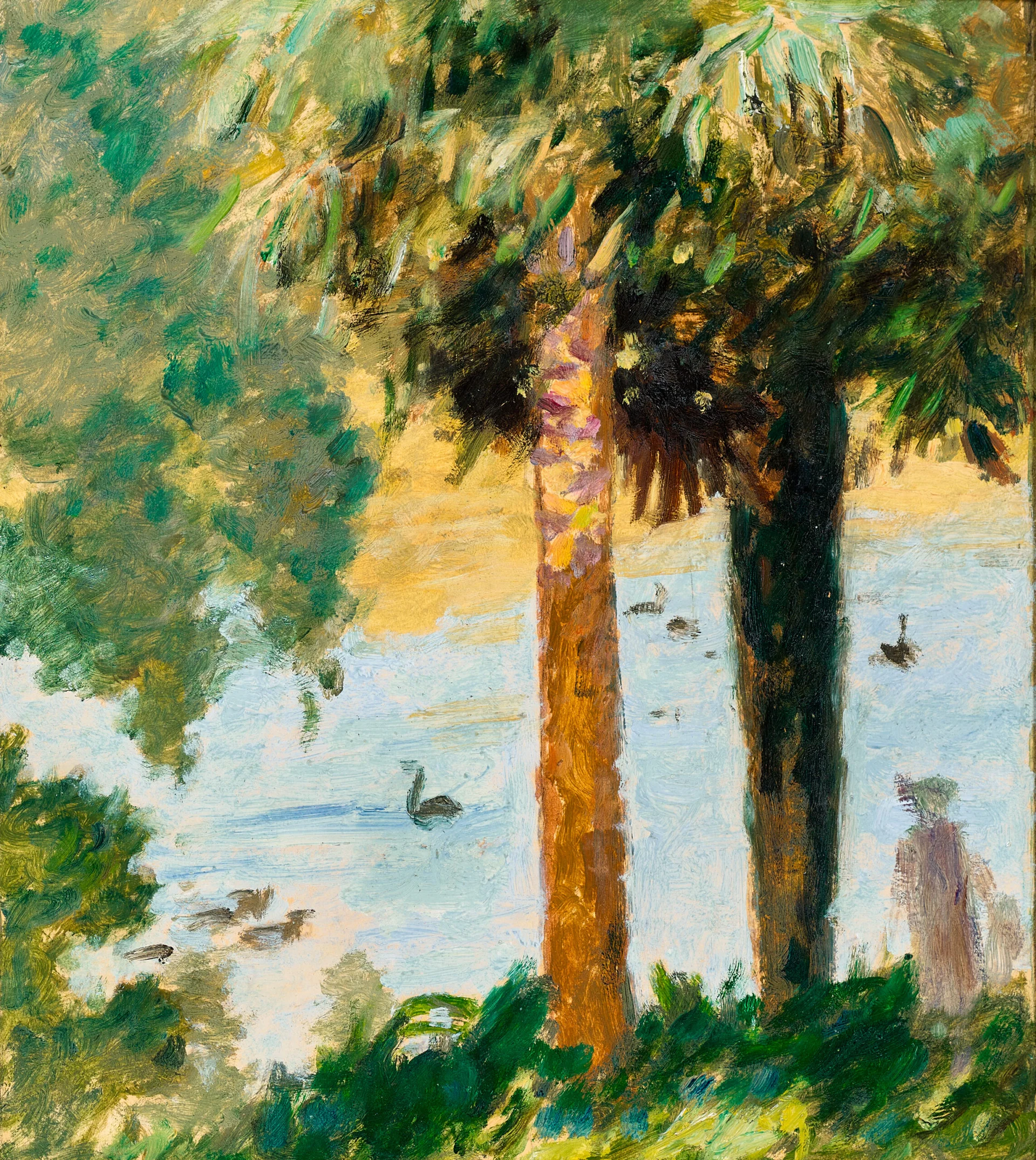 TWO PALM TREES (MELBOURNE BOTANIC GARDENS)