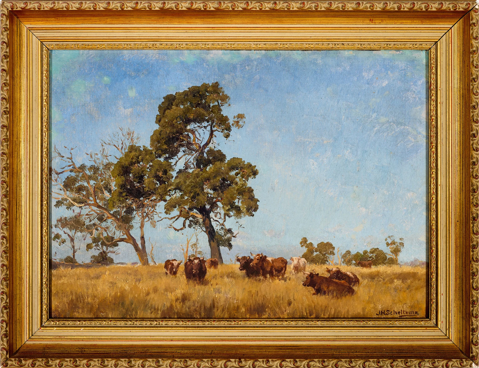 CATTLE GRAZING