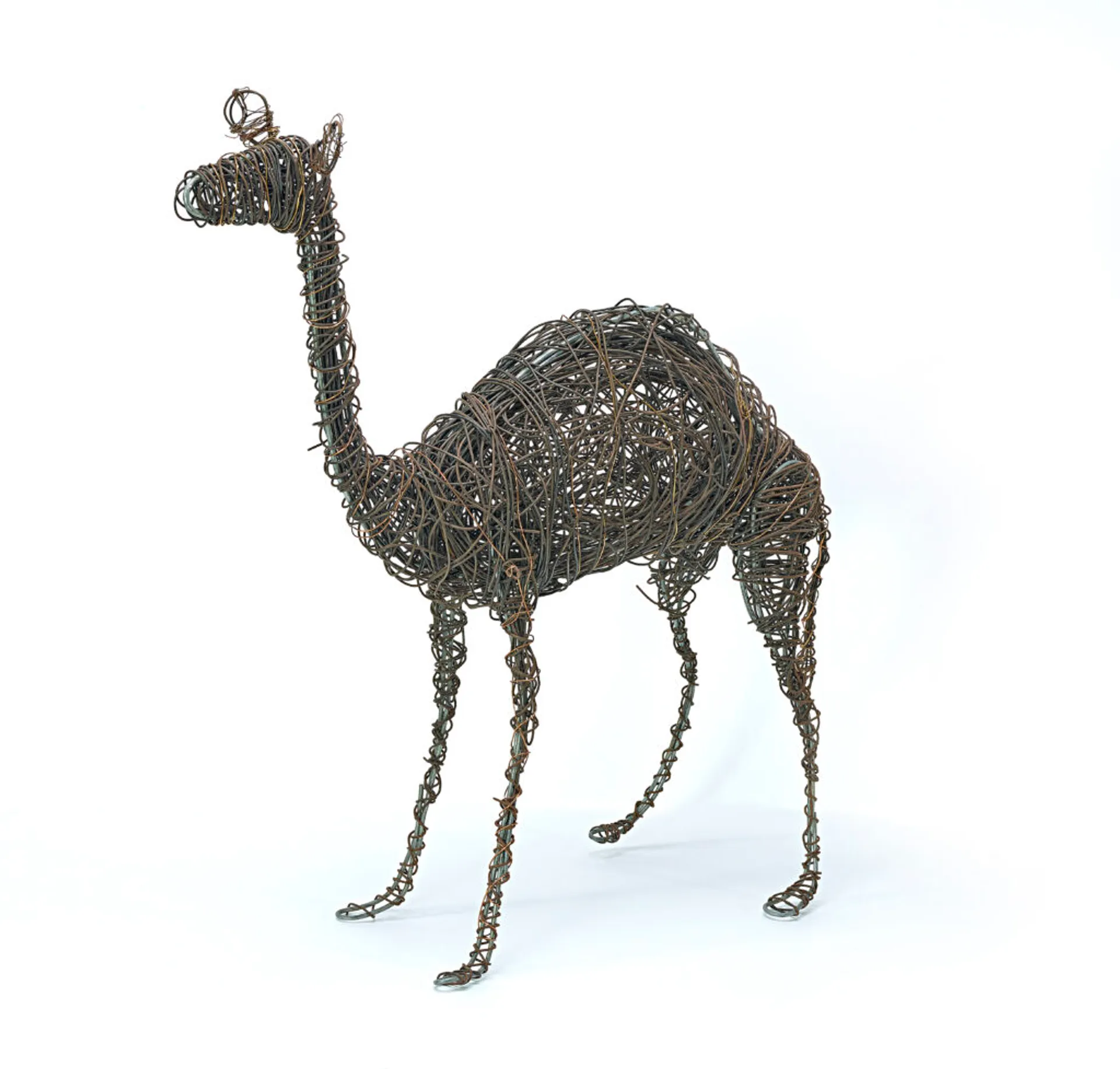 CAMEL