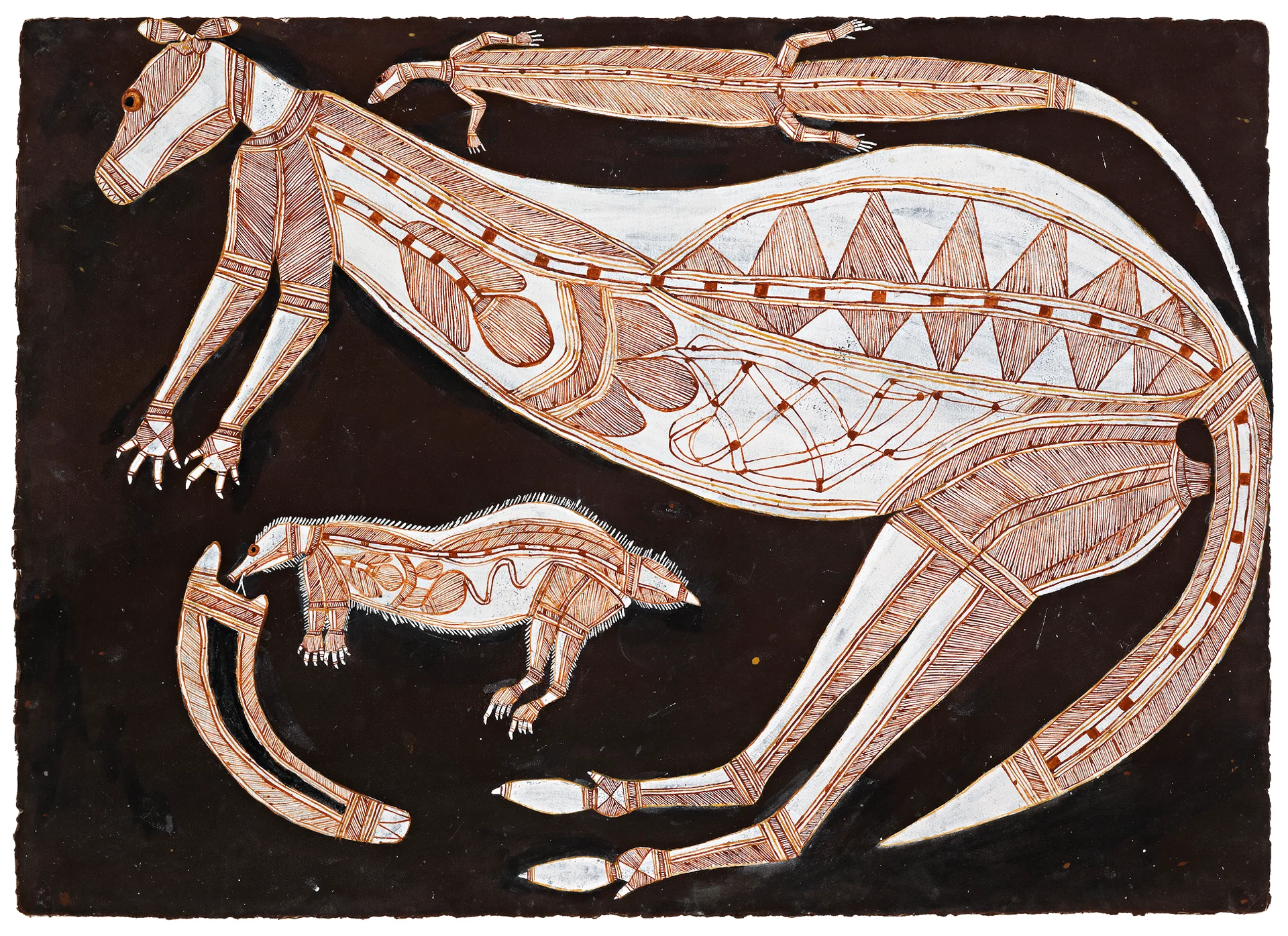 DJEKERRE – FEMALE BLACK ROCK WALLABY / NGARRBEK – ECHIDNA,