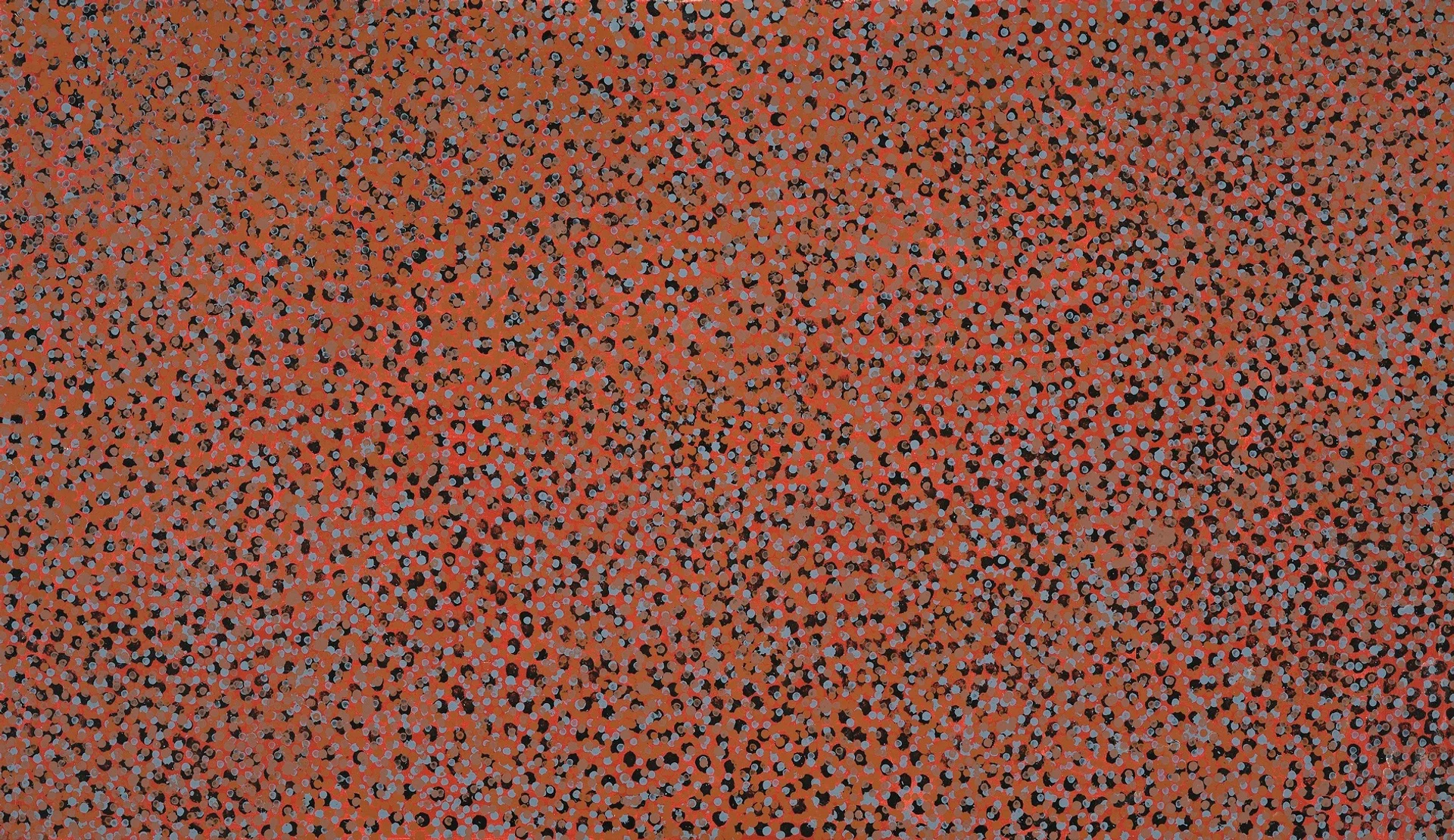 MERNE NDORKWA (WILD PLUM)