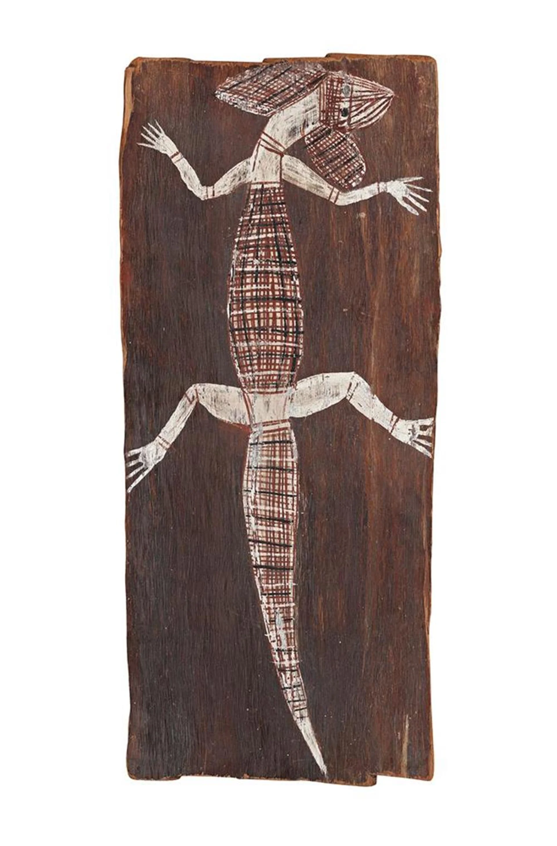 BIG EAR FRILL-NECKED LIZARD