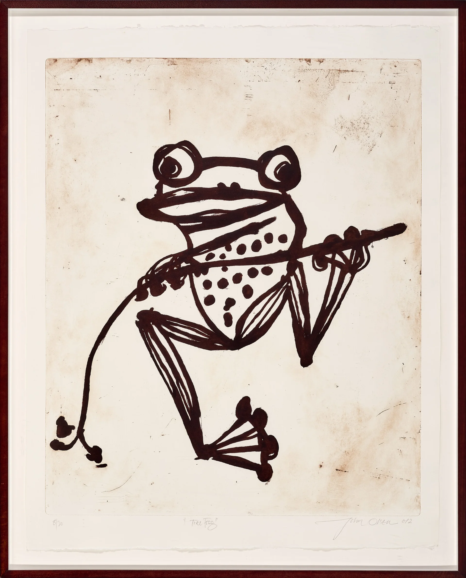 Tree frog
