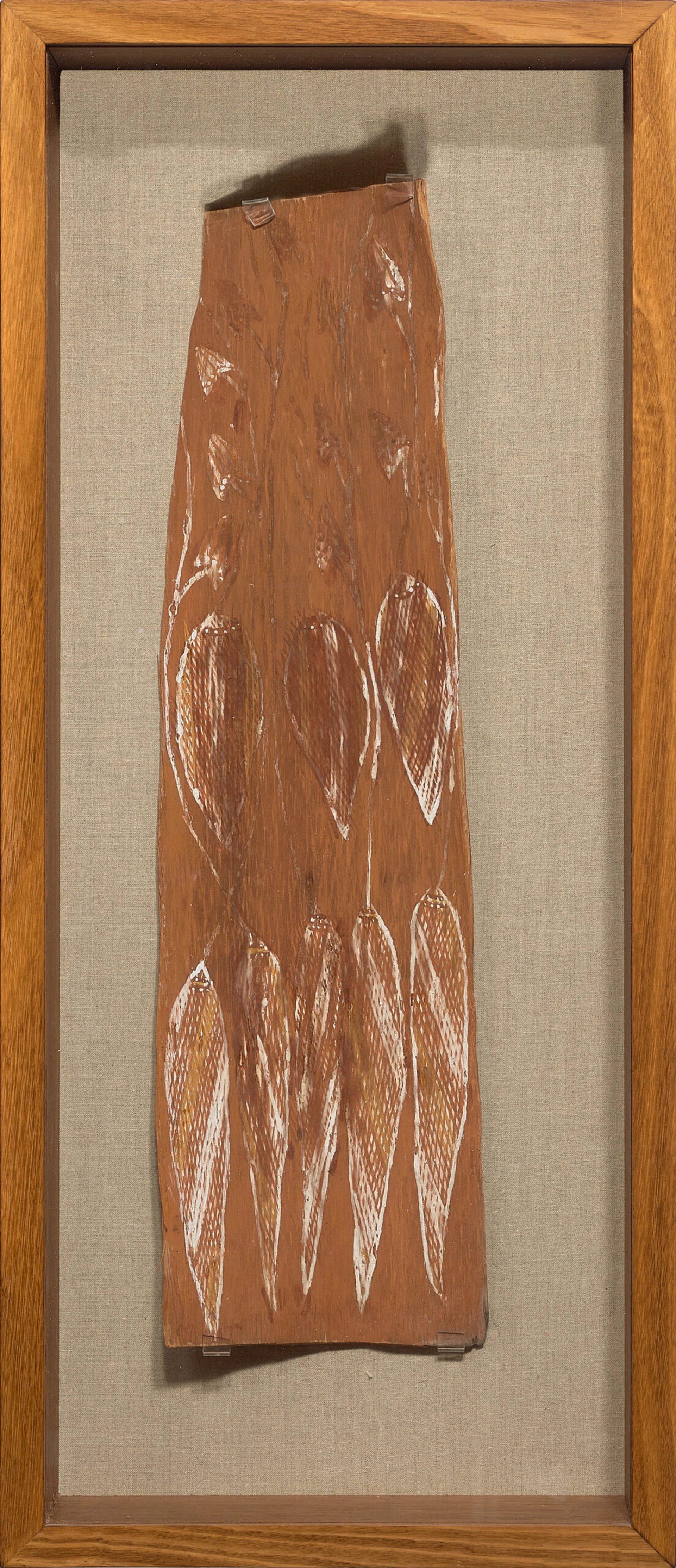 TWO EUCALYPTUS BARKS