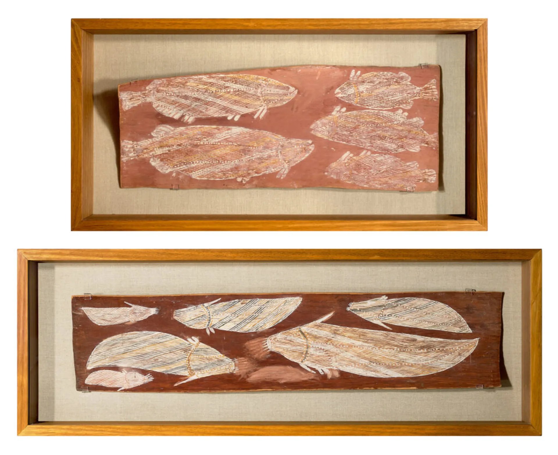 TWO EUCALYPTUS BARKS