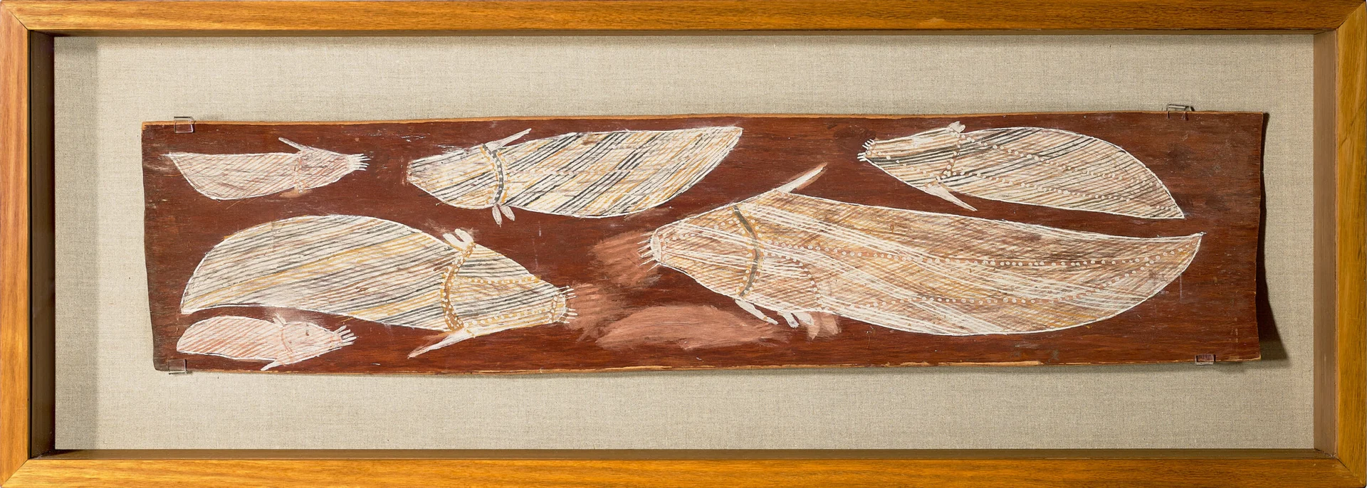 TWO EUCALYPTUS BARKS