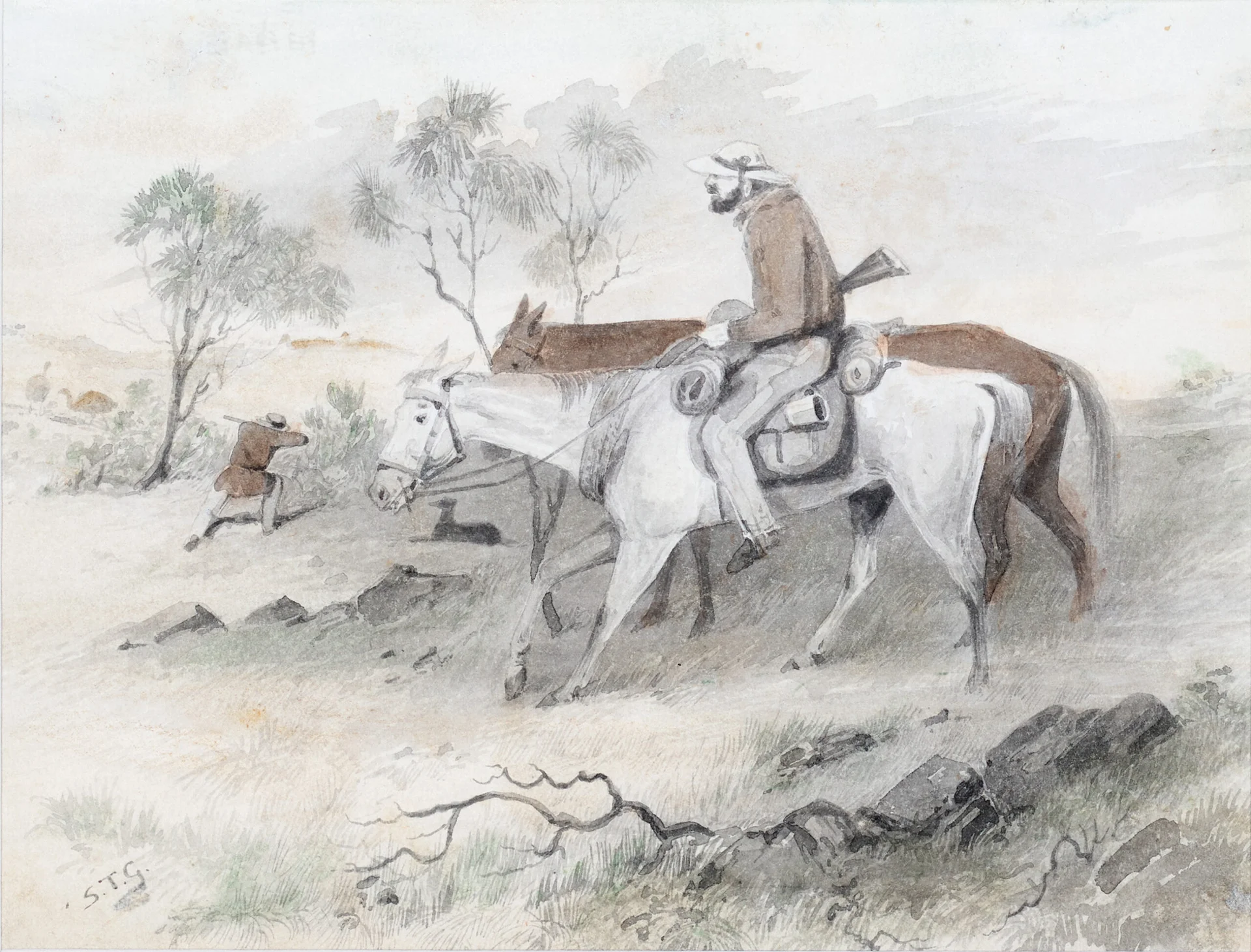 EMU HUNTING