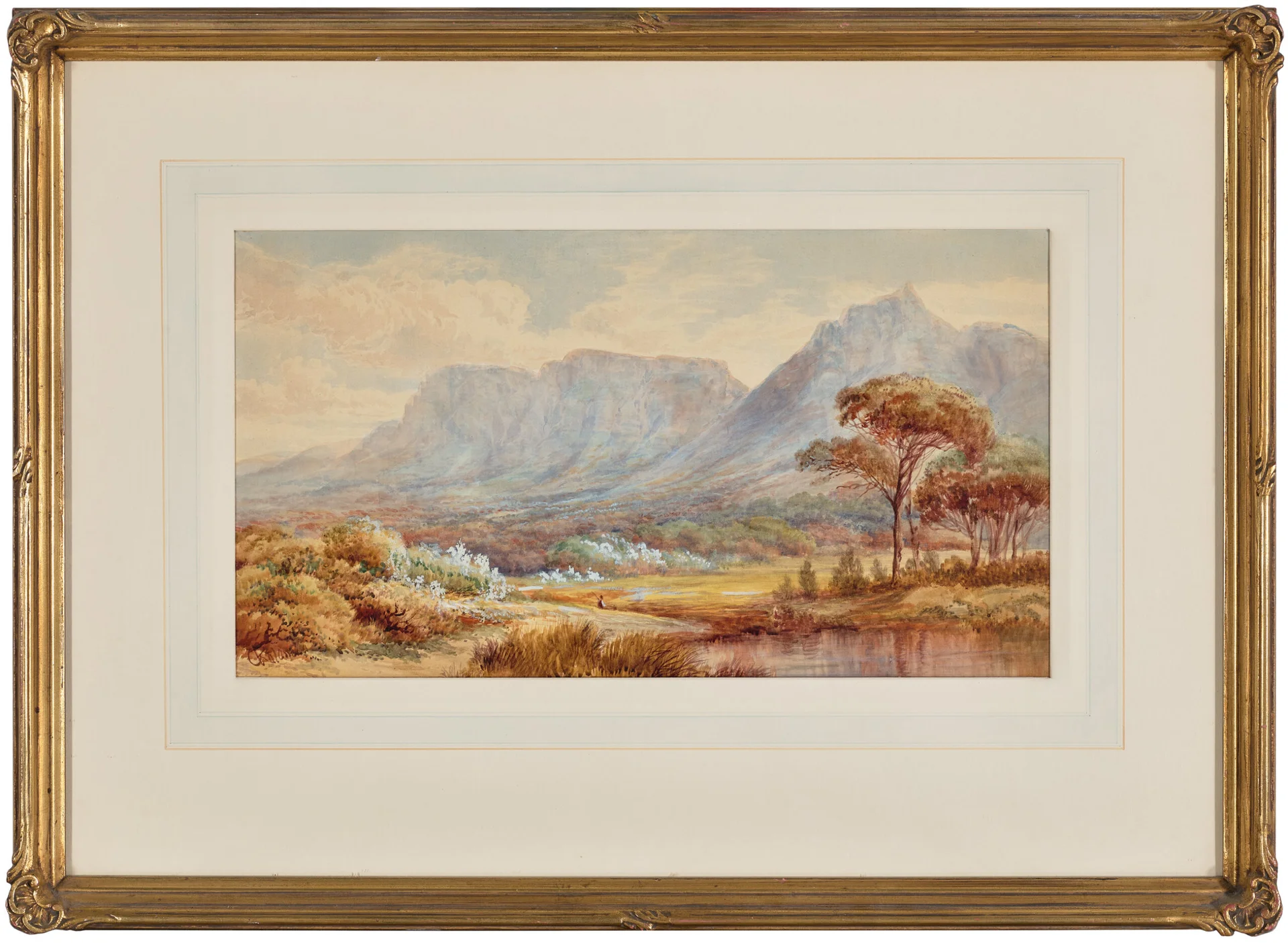 TABLE MOUNTAIN