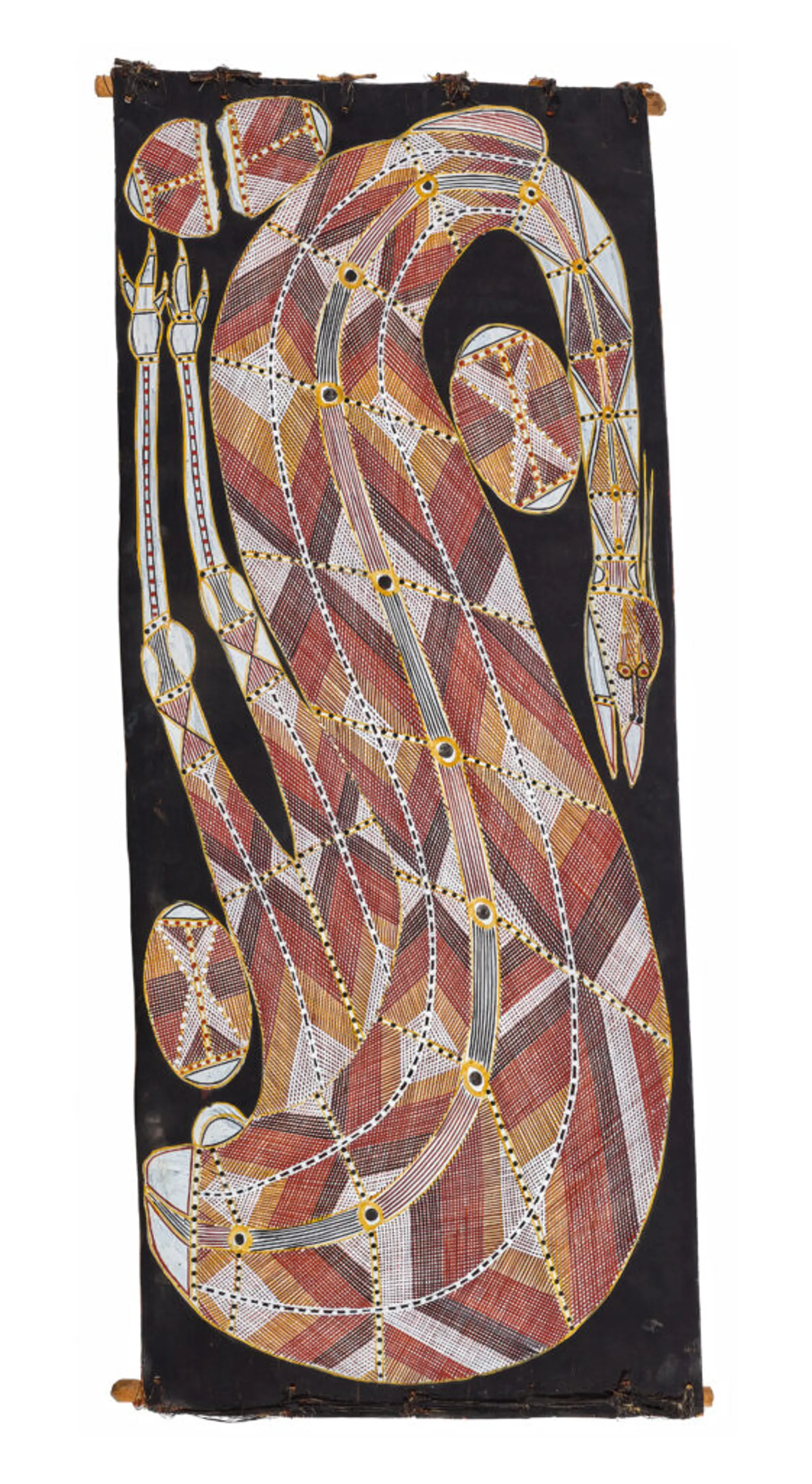 BENOK (PLAINS TURKEY)