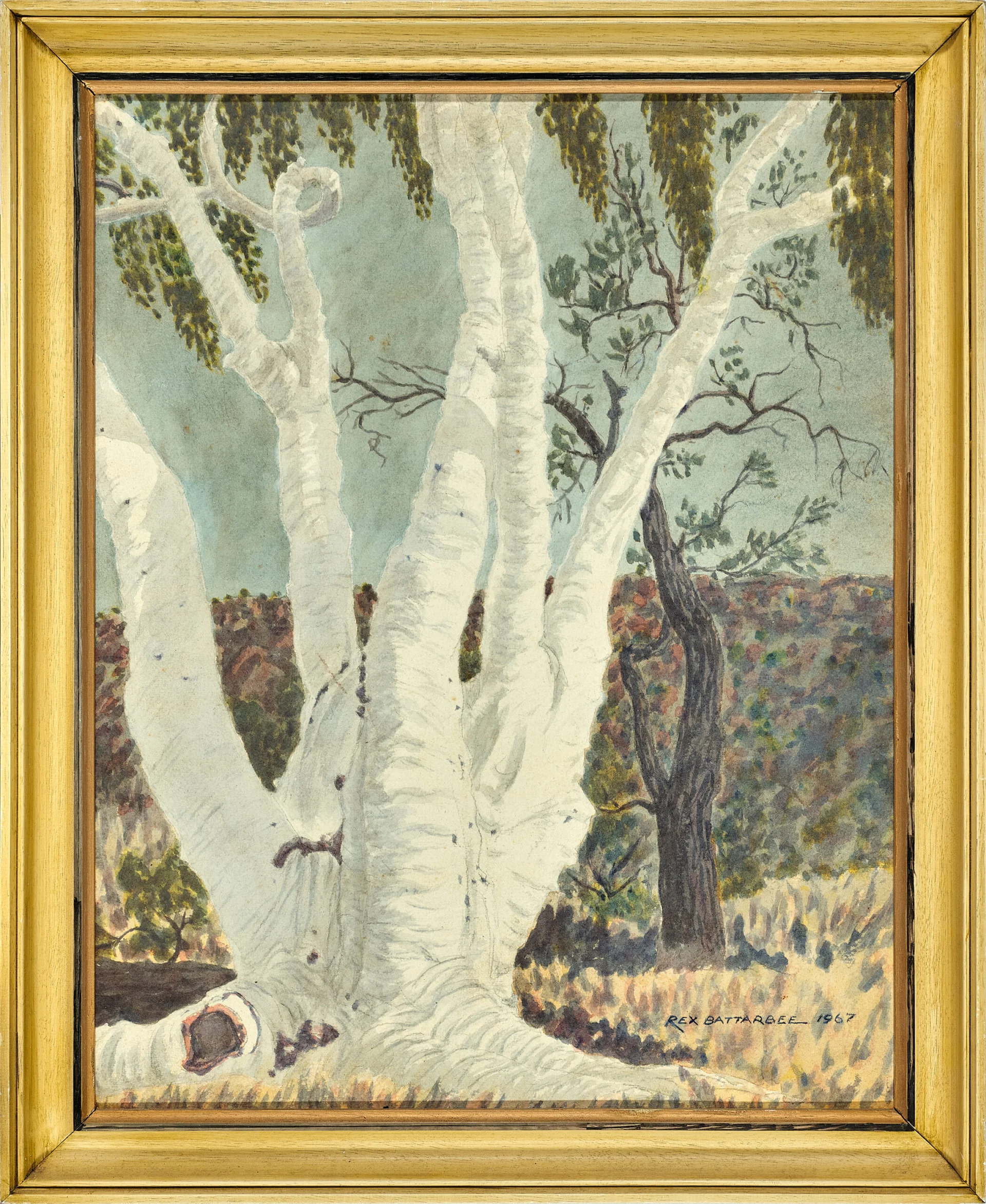GHOST GUM