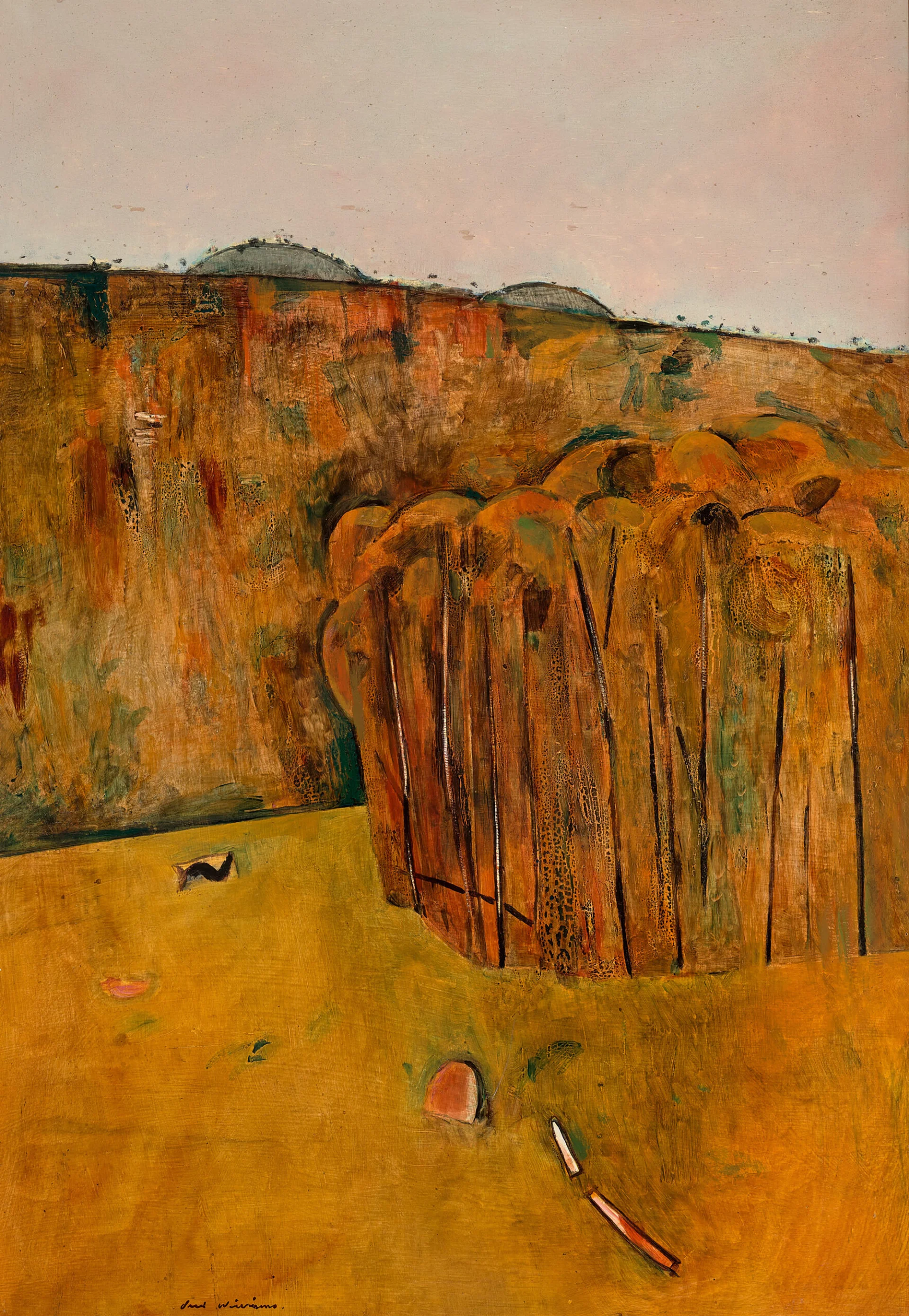 Saplings