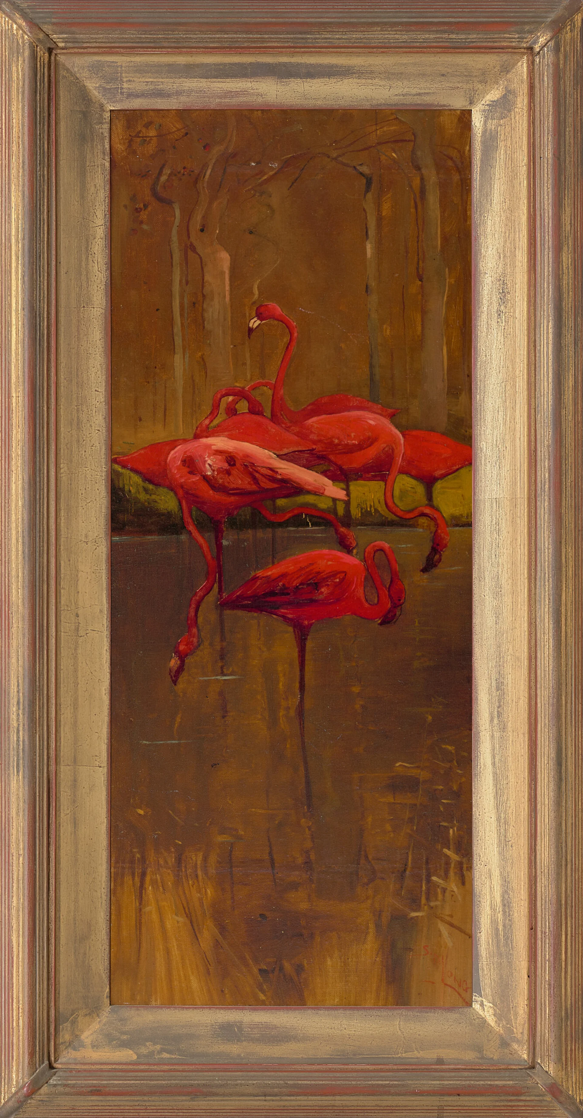 Flamingoes