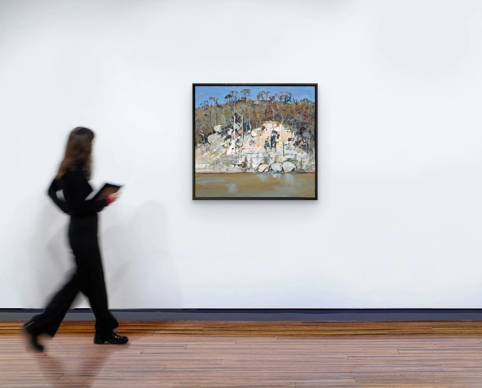 Shoalhaven landscape